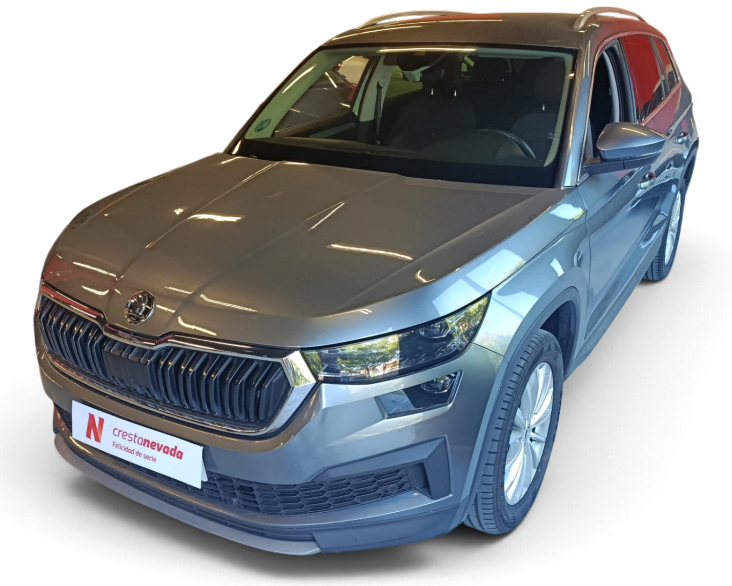 skoda-kodiaq-15-tsi-110kw-150cv-dsg-4x2-ambition-en-cadiz-65f0fdf69f7cbf637e271a047bce1cea