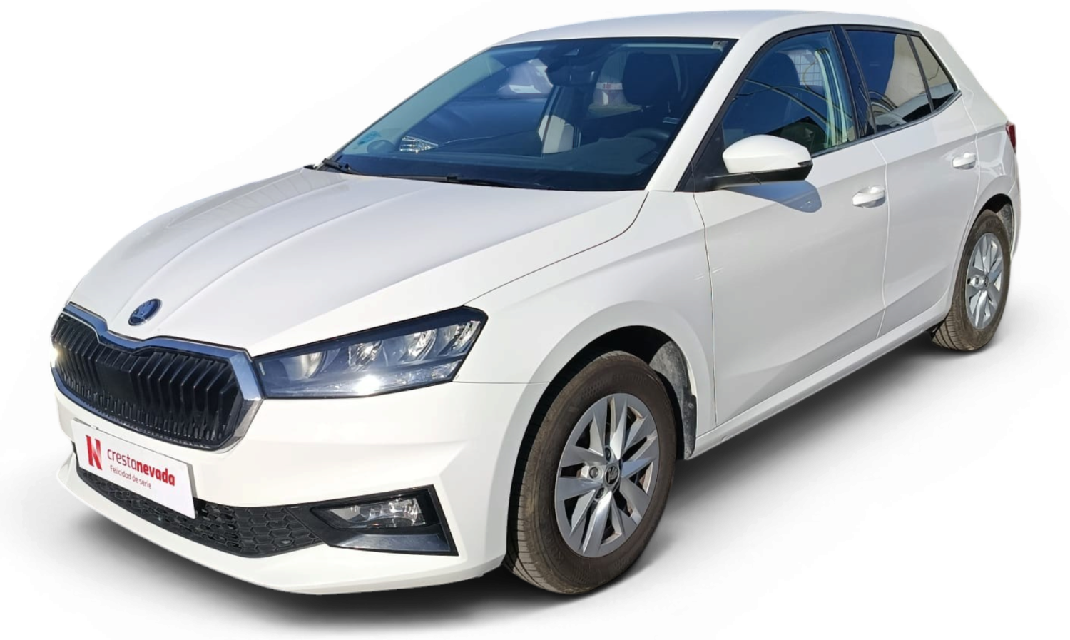 skoda-fabia-10-tsi-70kw-95cv-selection-en-cordoba-1c3eed375bb9a8f5c48752120034dcfb