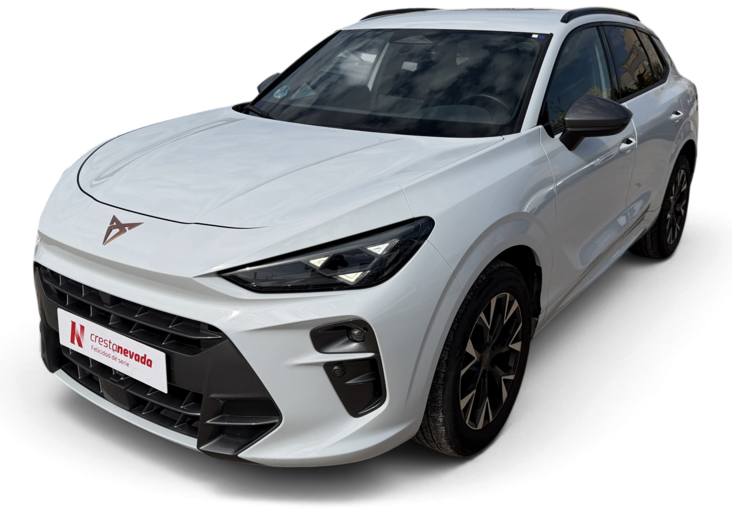 cupra-terramar-15-etsi-110kw-150-cv-dsg-en-malaga-3a160894426f3e67a1037f7a64b01cda