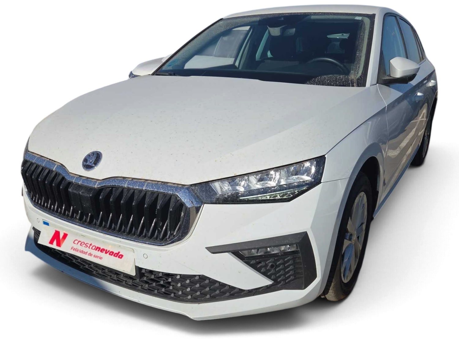 skoda-scala-10-tsi-85kw-115-cv-selection-en-madrid-dbd0e2993a61782e700a91260137db71
