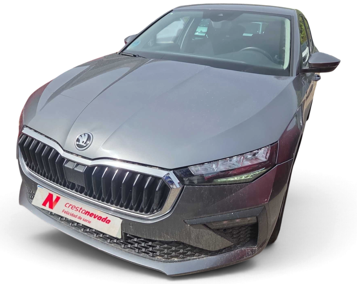 skoda-scala-10-tsi-85kw-115-cv-selection-en-madrid-7d26e387cae62e499c506a08210d5180