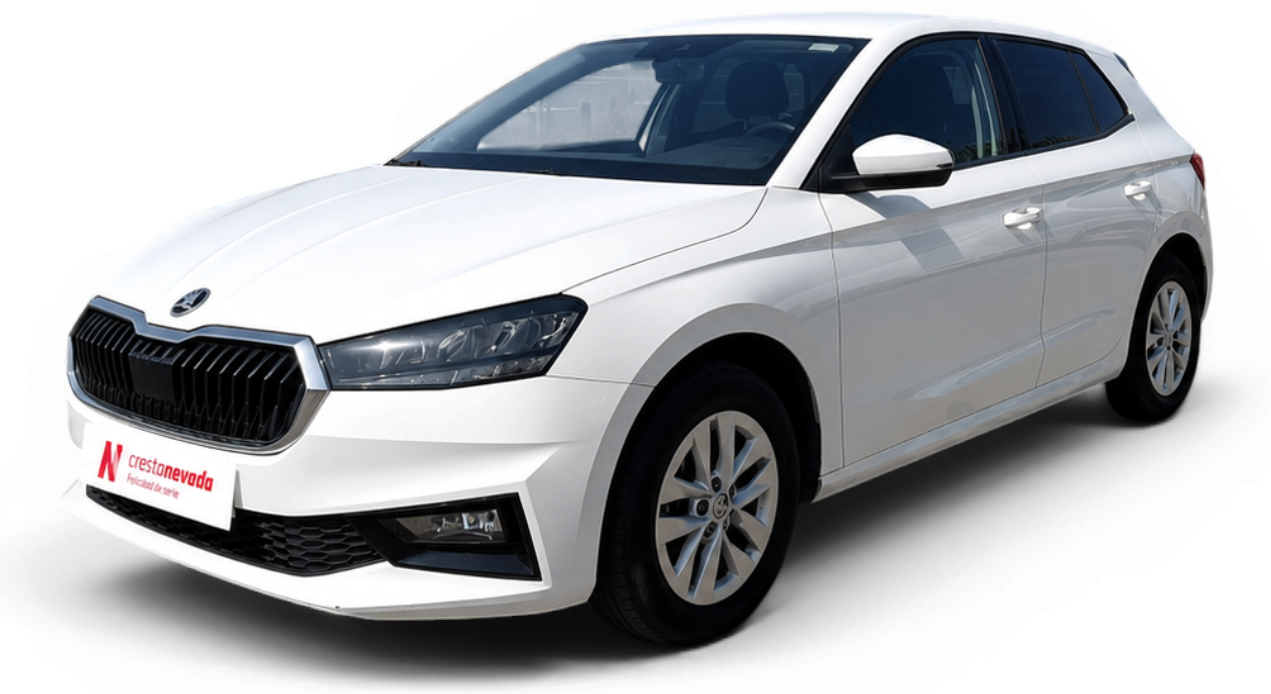 skoda-fabia-10-tsi-70kw-95cv-selection-en-murcia-3451a6bb4346f31aa5057d9468162336