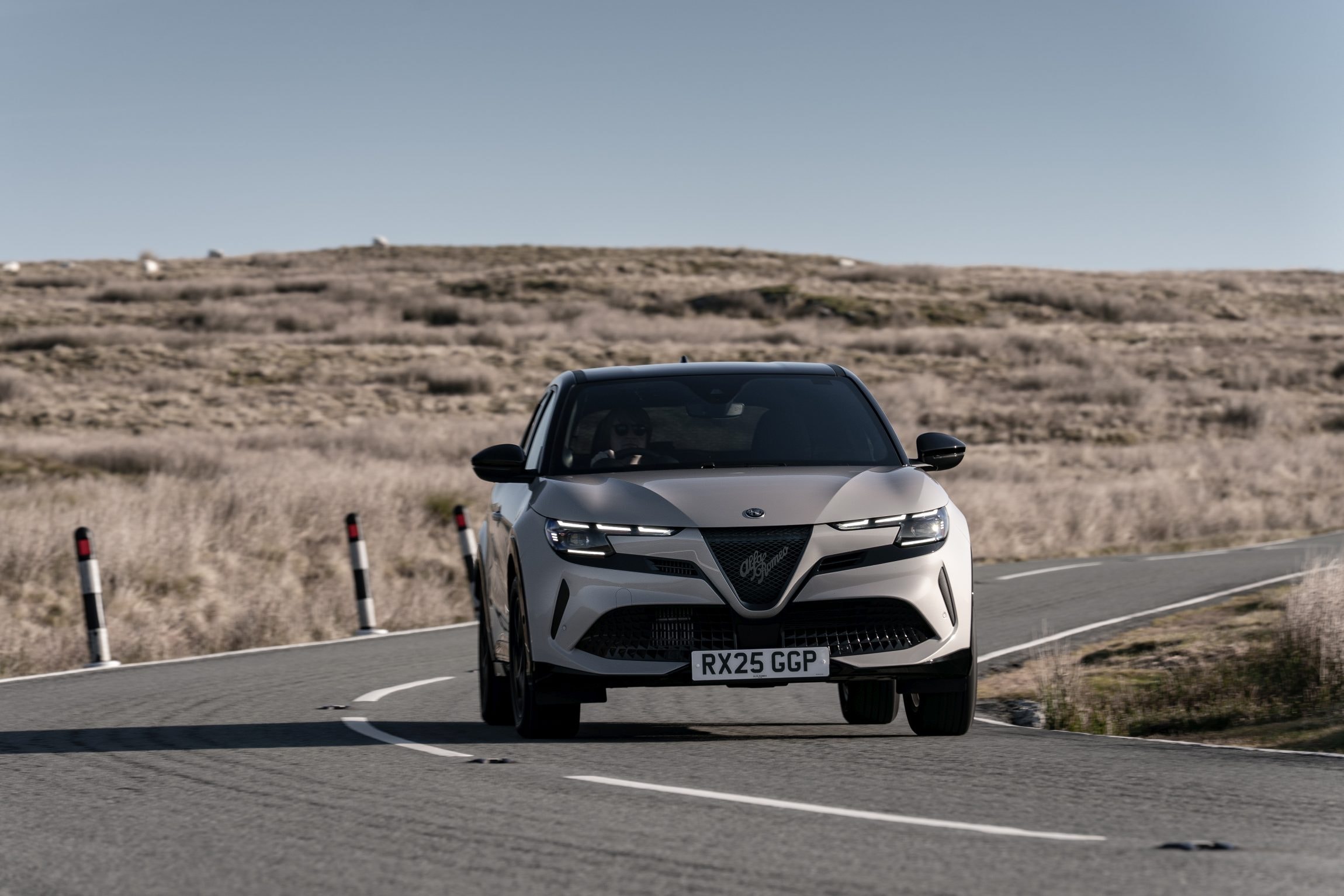 Alfa Romeo Junior