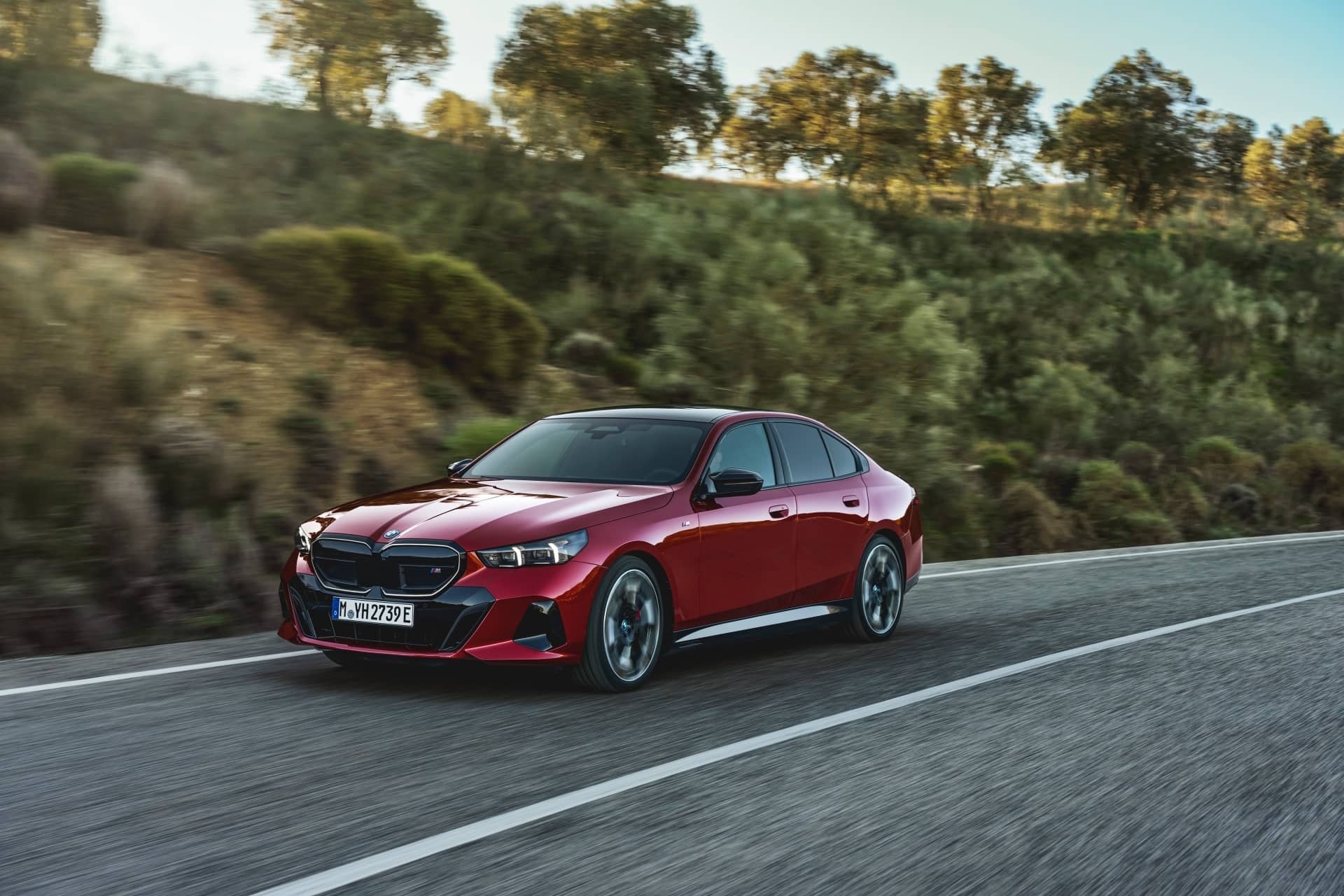 Vista lateral del BMW Serie 5 con el paisaje natural de fondo.
