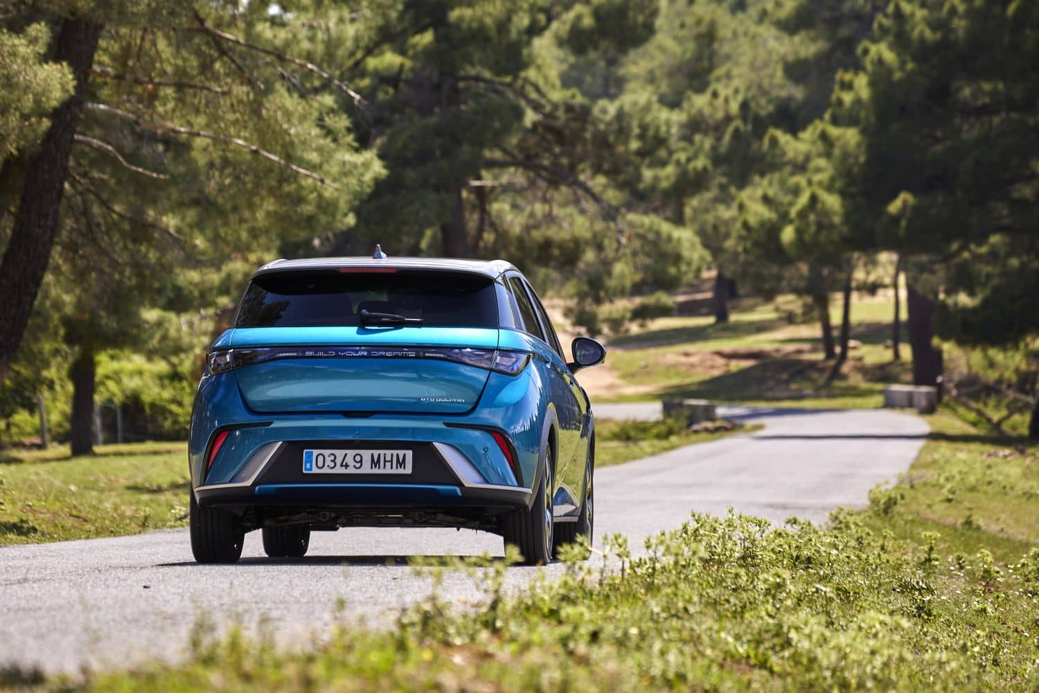Imagen trasera del BYD Dolphin en una carretera rodeada de vegetación.