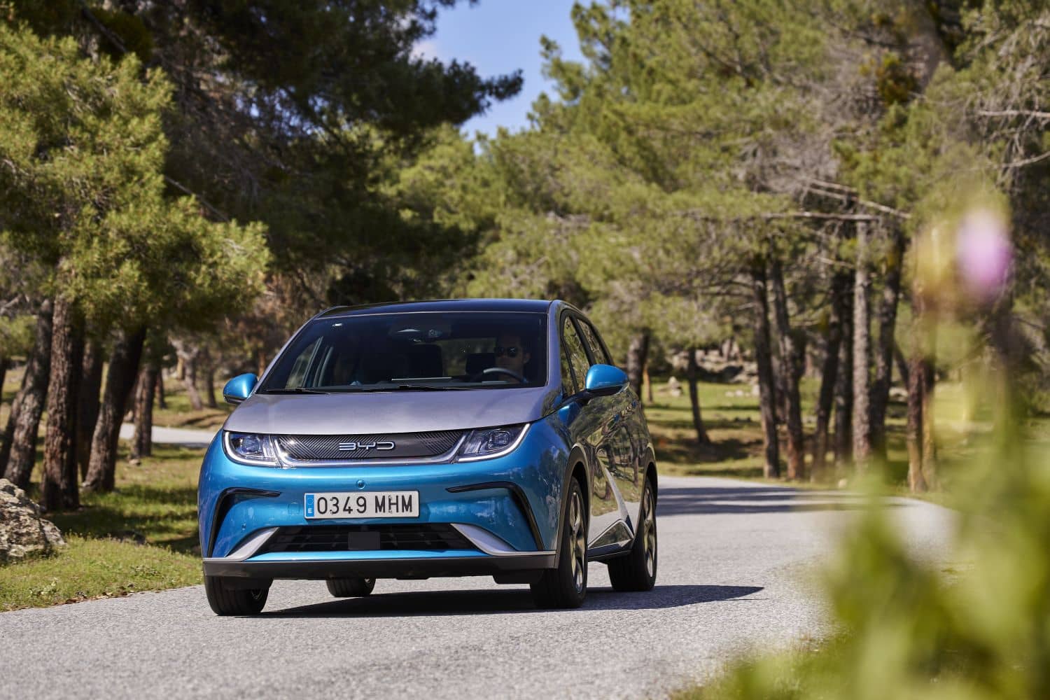 Vista frontal del BYD Dolphin circulando por carretera arbolada.