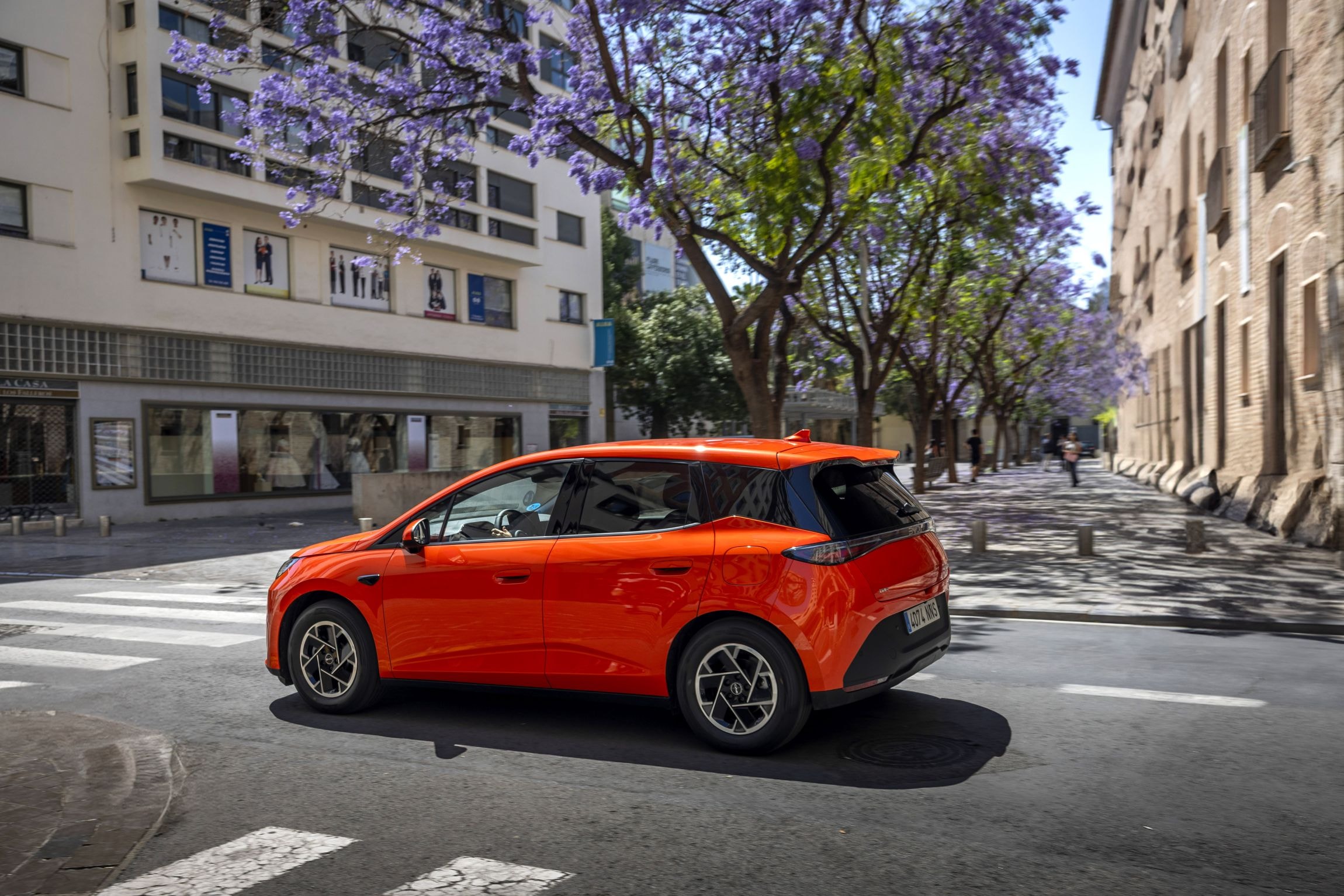 BYD Dolphin G