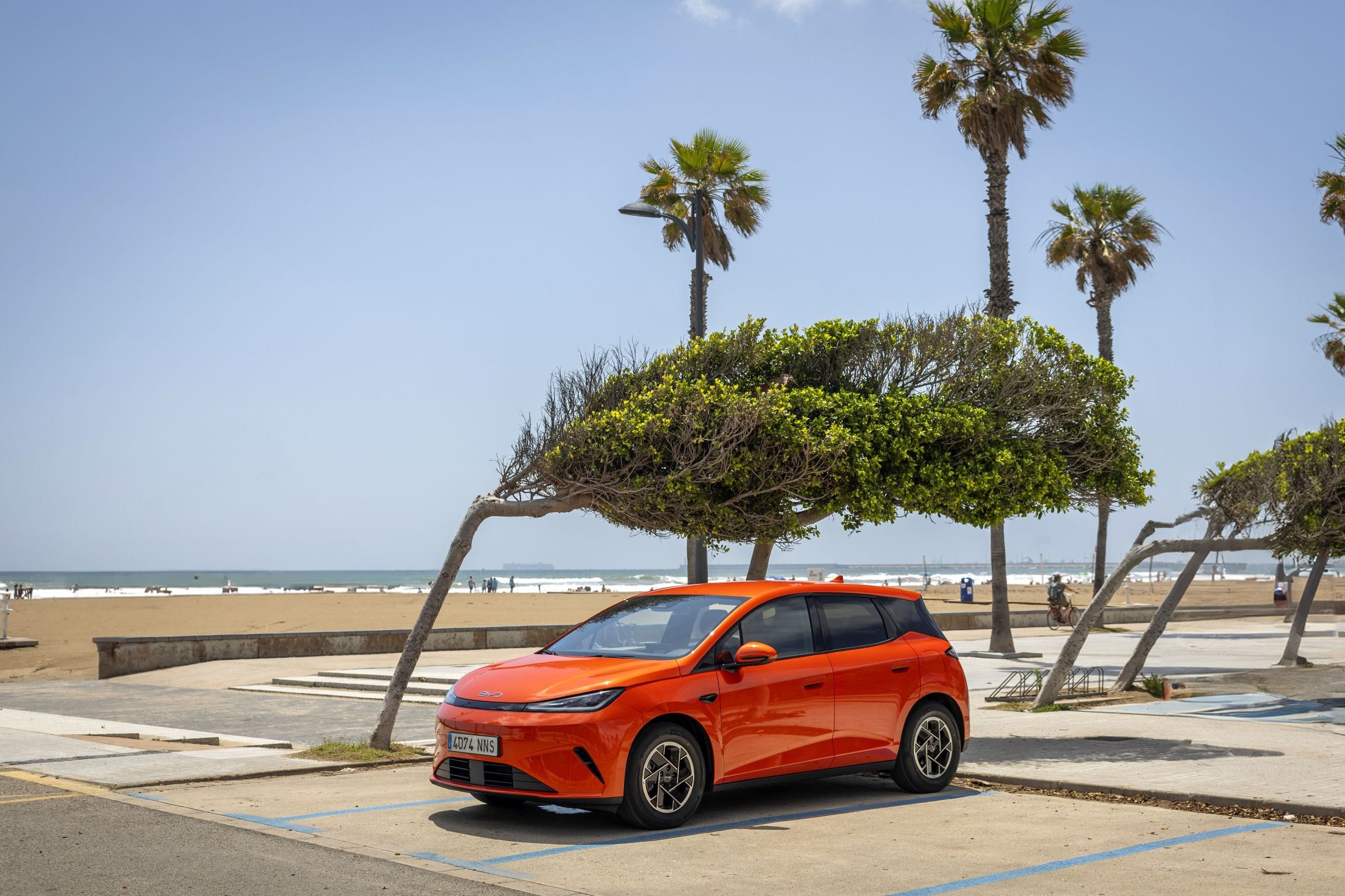 BYD Dolphin G