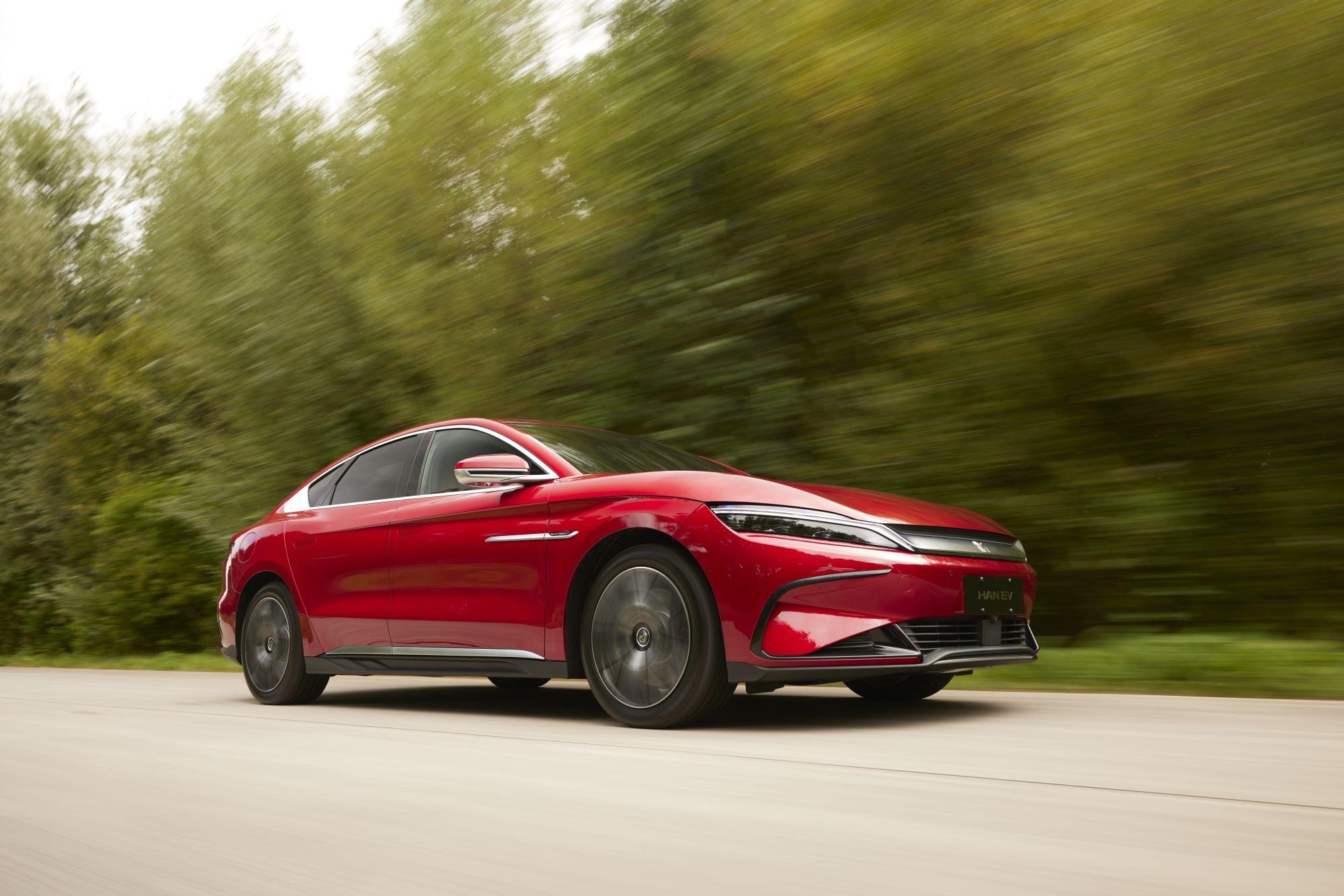 Asientos delanteros del BYD Han, combinando confort y estilo.