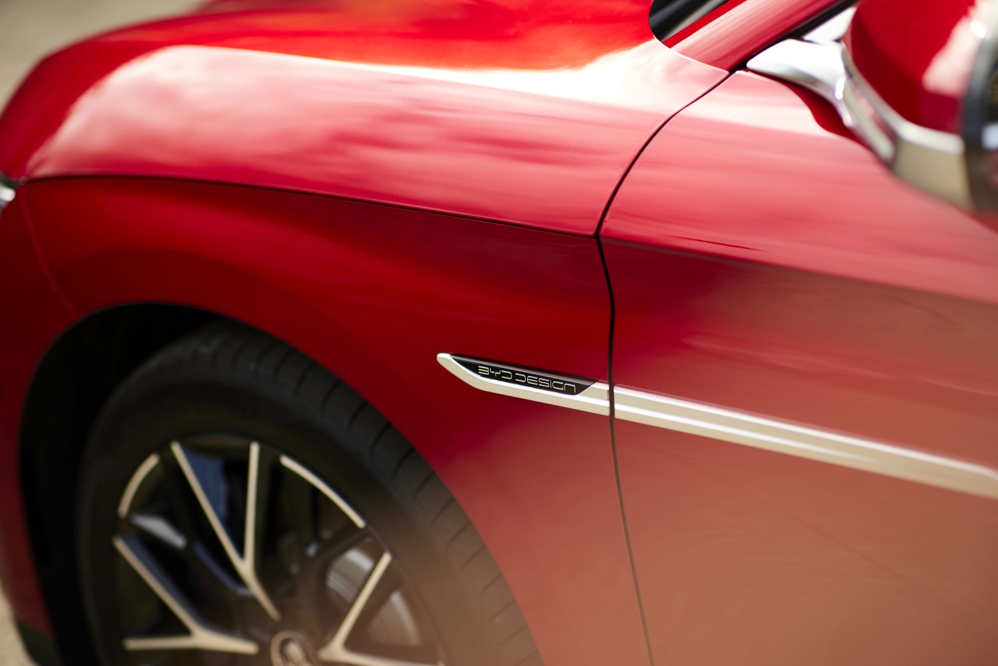 Detalles estilizados en la parte trasera, mostrando una estética refinada.