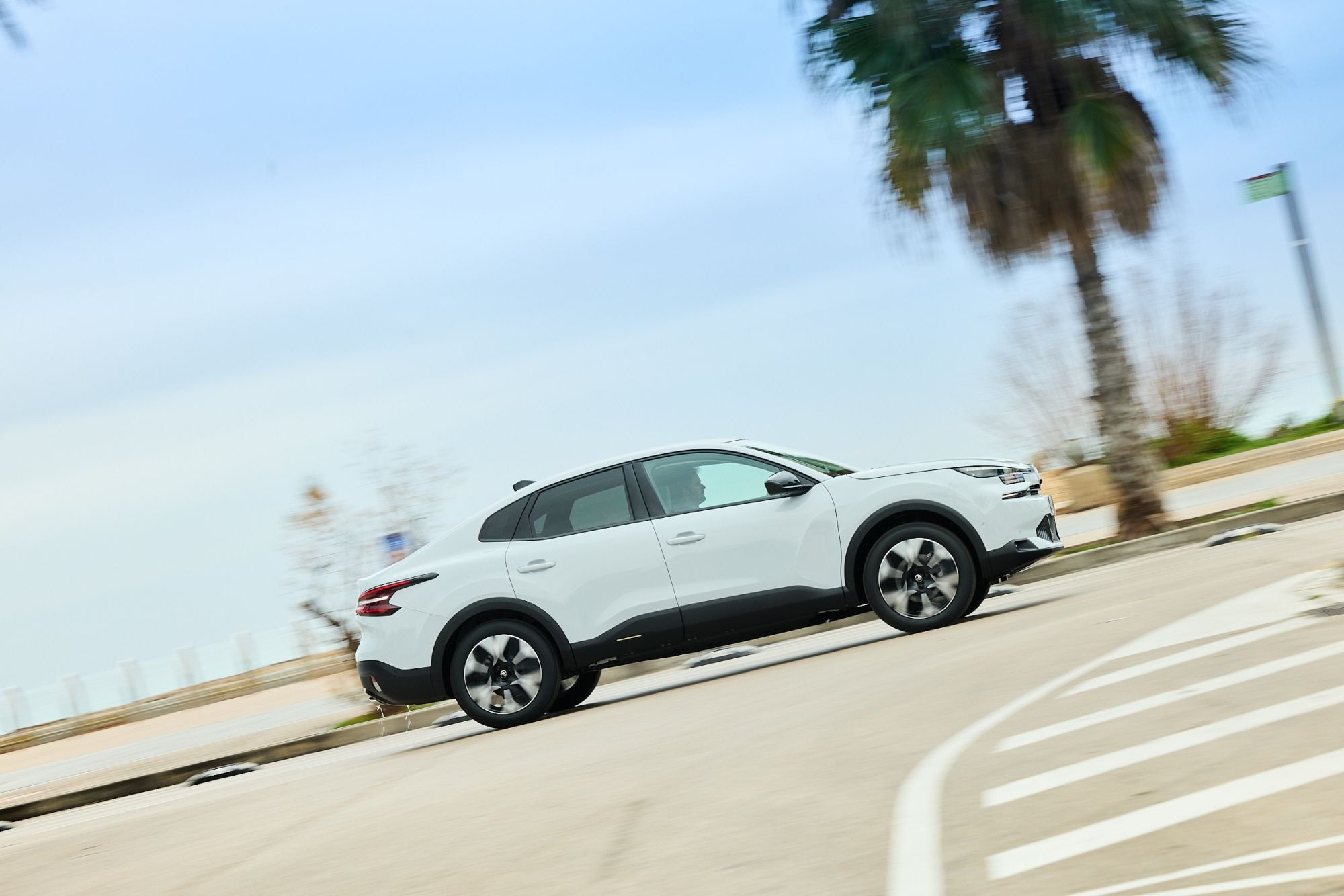 Perspectiva trasera del Citroën C4 X en un entorno palmado.