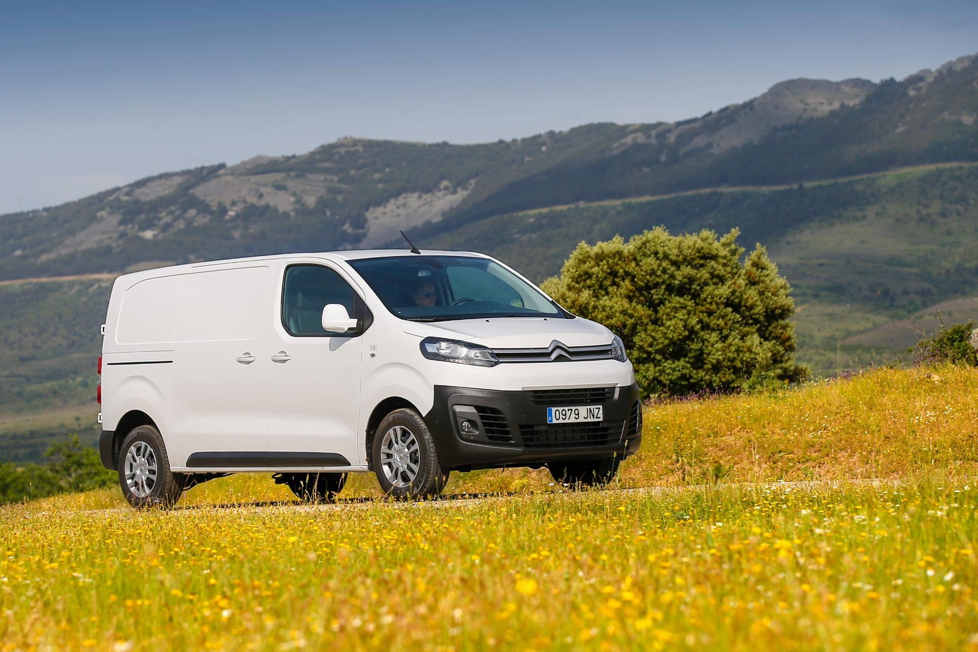 El Citroën Jumpy blanco integrándose con el entorno natural en una toma lateral.