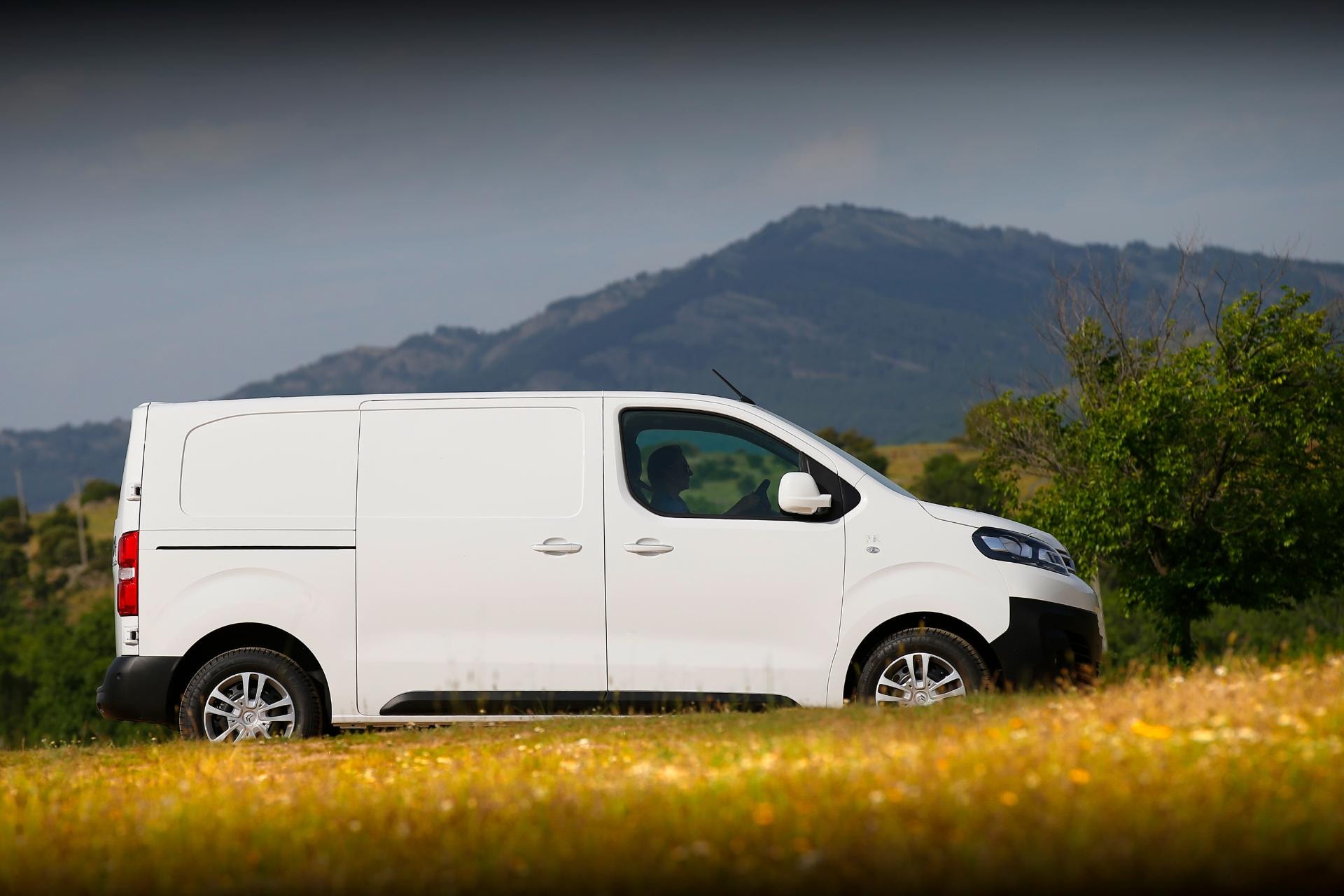 Citroën Jumpy estacionado en la naturaleza, perfil conductor