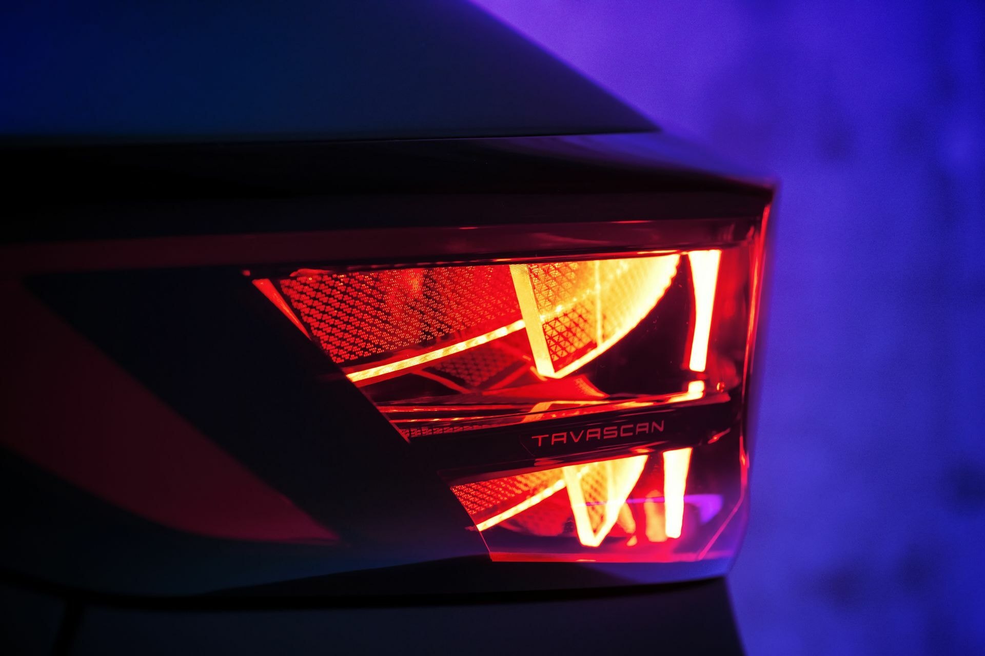 Primer plano del piloto trasero con diseño en X.