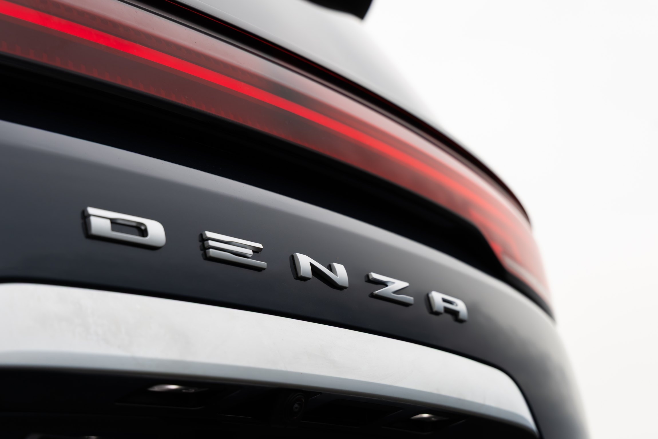 Denza D9