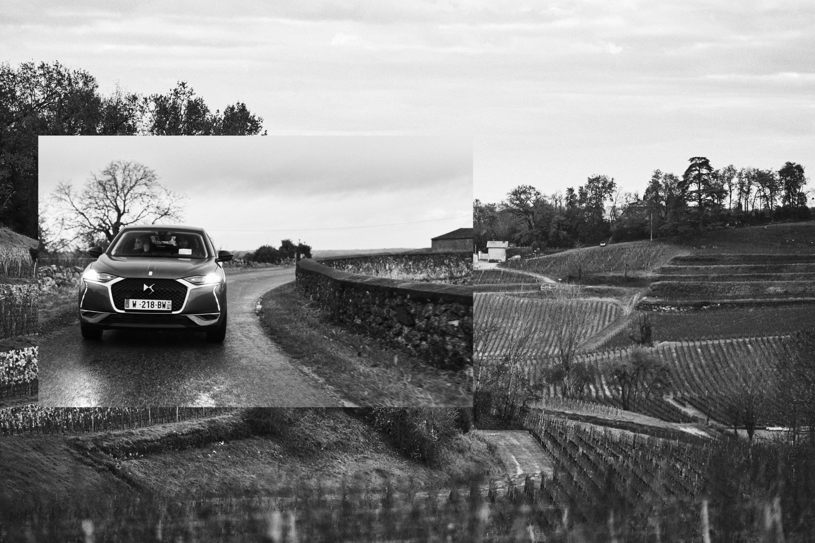 Imagen en blanco y negro del DS 3, destacando las líneas frente a los viñedos.