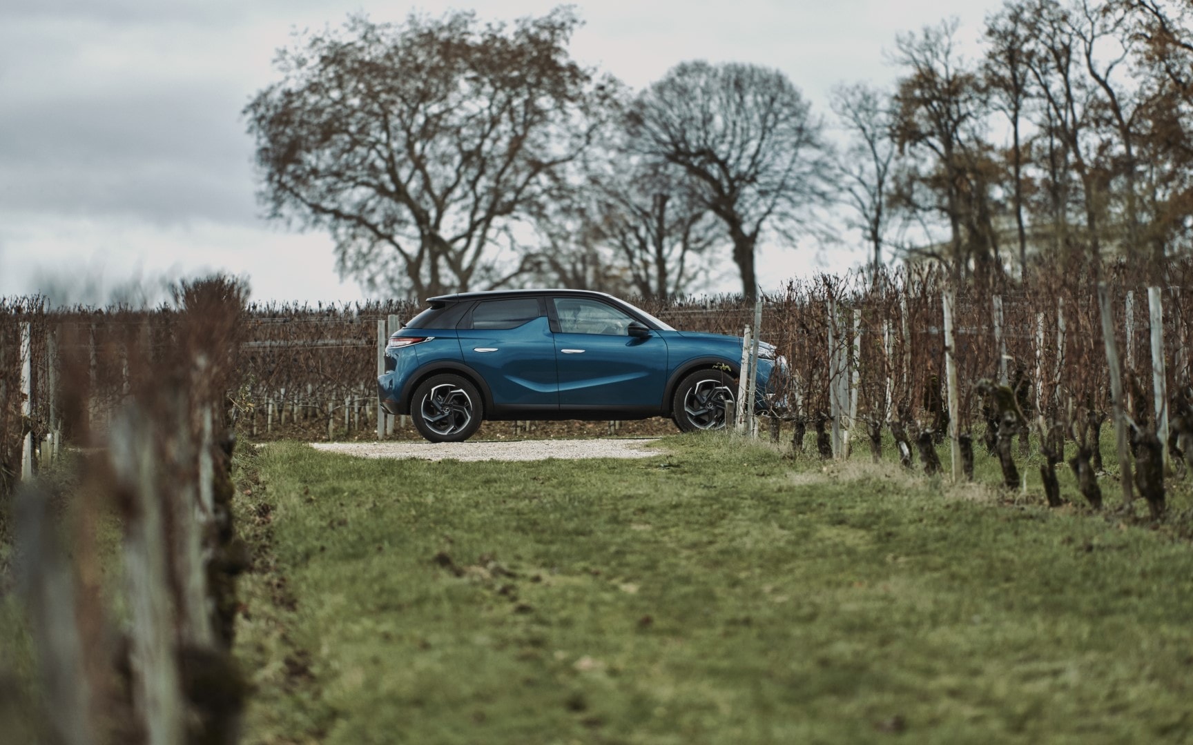 Vista lateral del DS 3, fusionándose con la naturaleza de los viñedos.