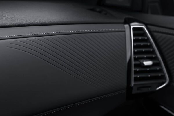 Detalle fino del revestimiento que muestra la atención al detalle de DS Detalle fino del revestimiento que muestra la atención al detalle de DS