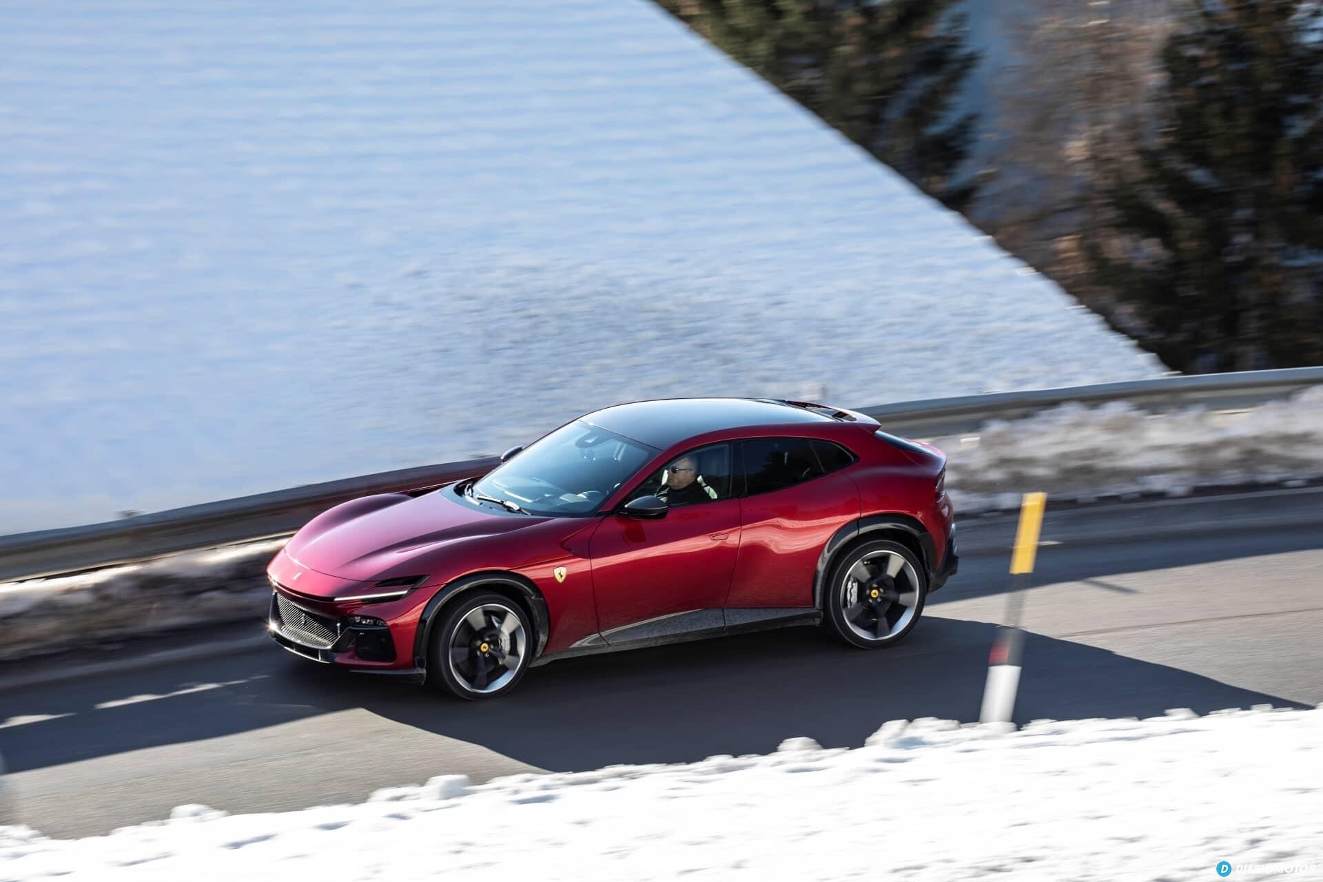 Perfil trasero-lateral del Purosangue en movimiento