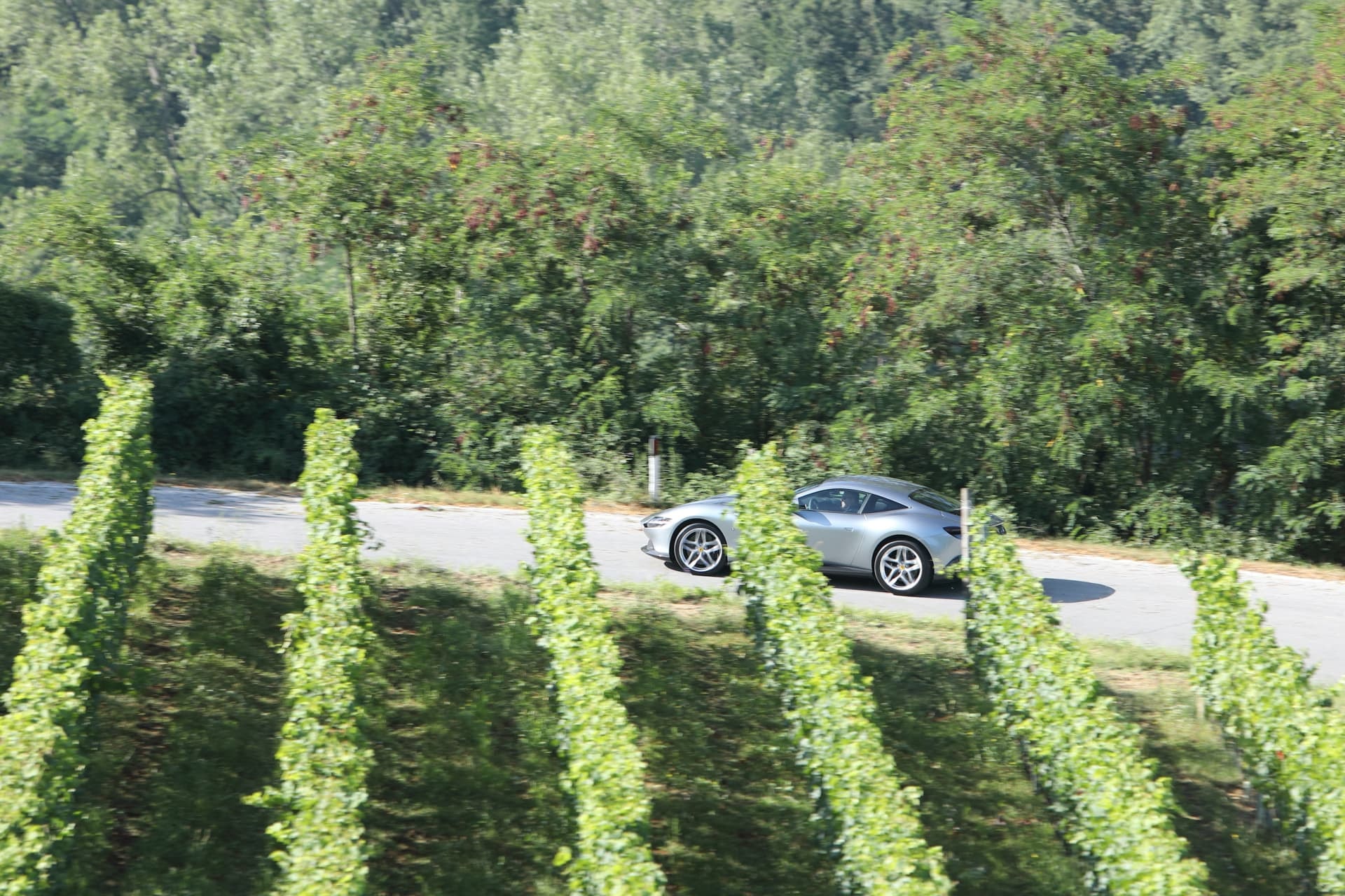 Visión lateral del Roma entre viñedos, destacando el diseño en armonía con la naturaleza.