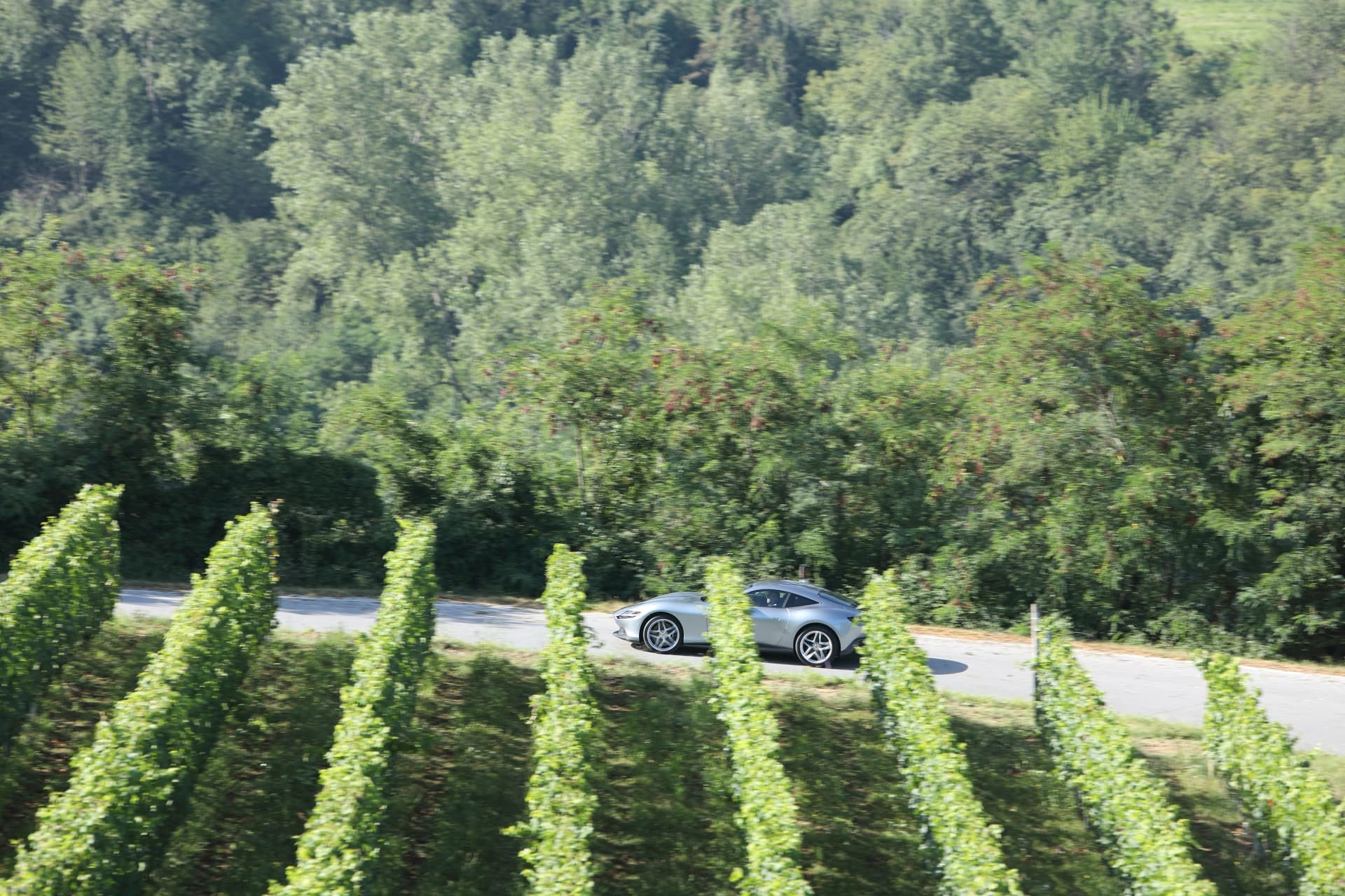 El coche se muestra en un segundo plano, integrado en el paisaje de viñedos.