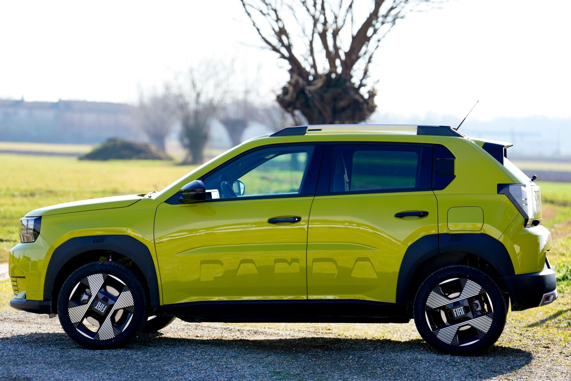 Vista del interior trasero del Fiat Grande Panda, con asientos cómodos.