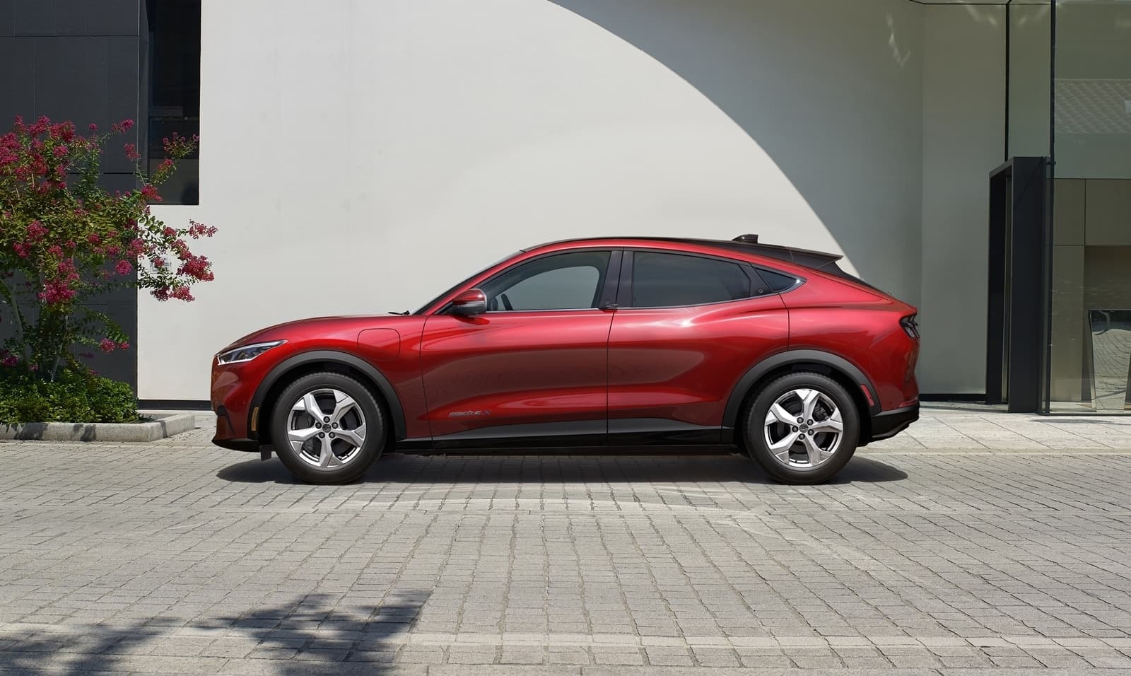 Perfil clásico Mustang resaltando su línea de techo y arcos de rueda.