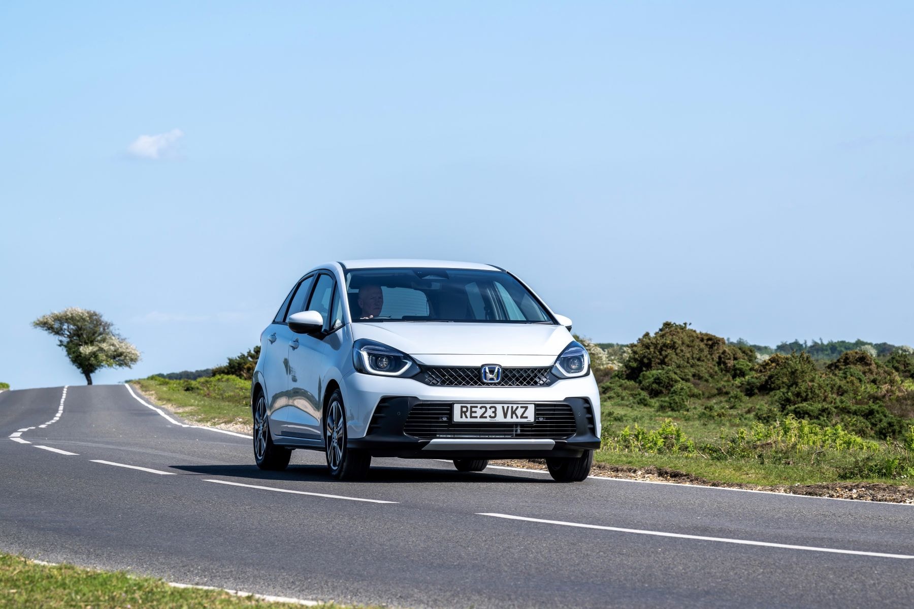 Otra perspectiva trasera mostrando las líneas suaves y aerodinámicas.
