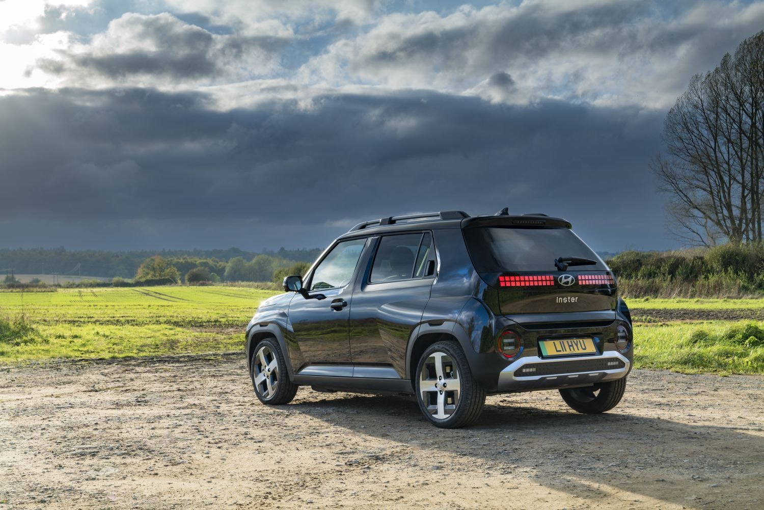 Detalle del panel de la puerta interior, resaltando los acabados de diseño.