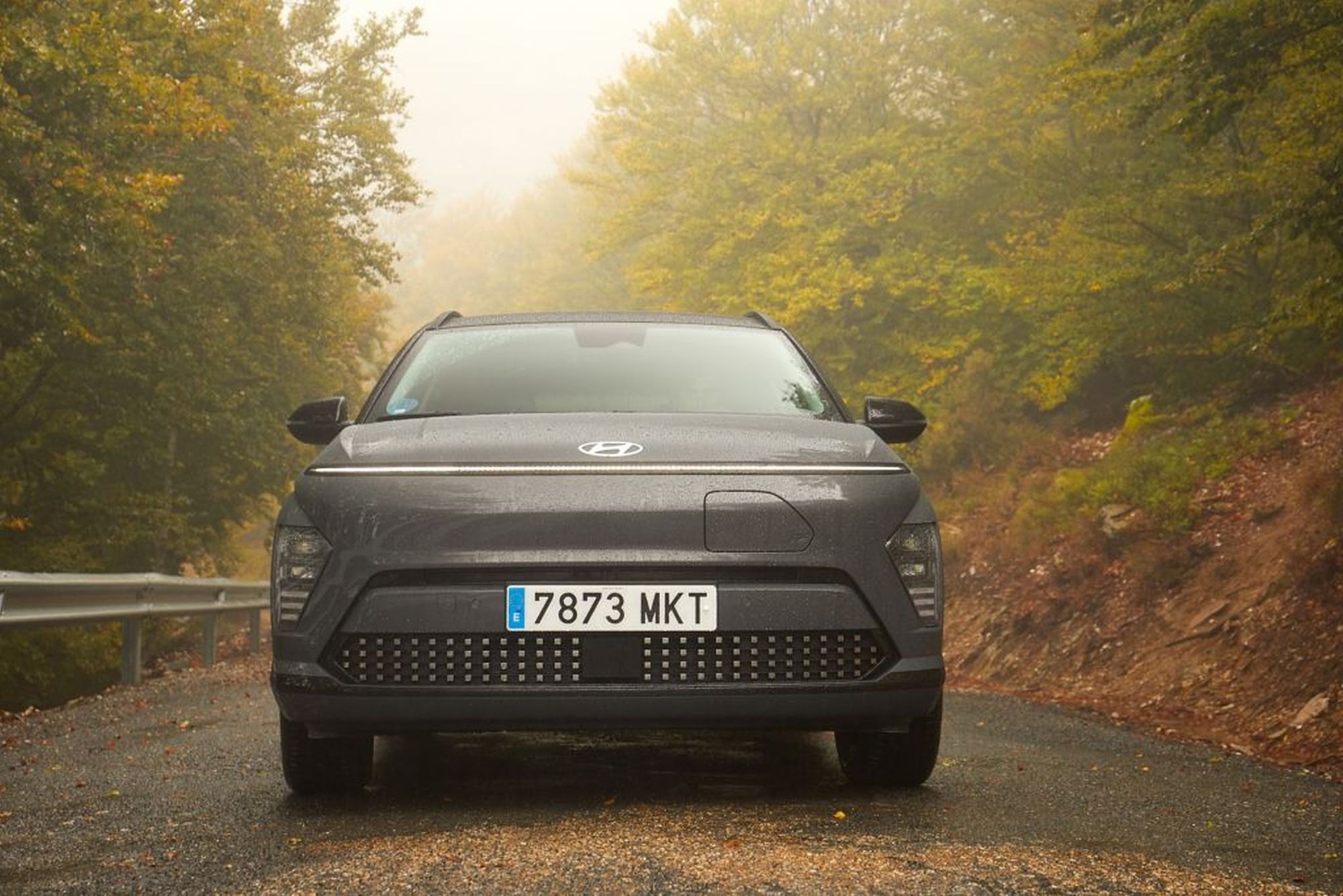 Controles de modos de conducción y asientos calefaccionados.