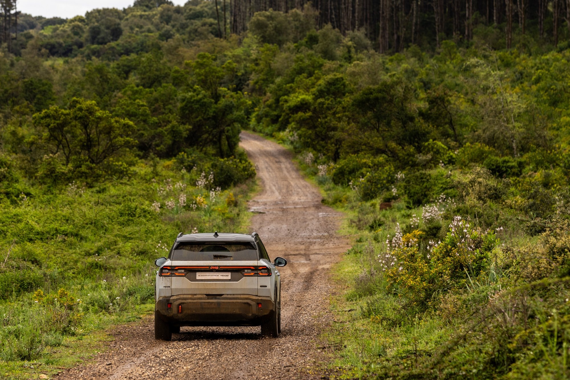Jeep Compass Híbrido