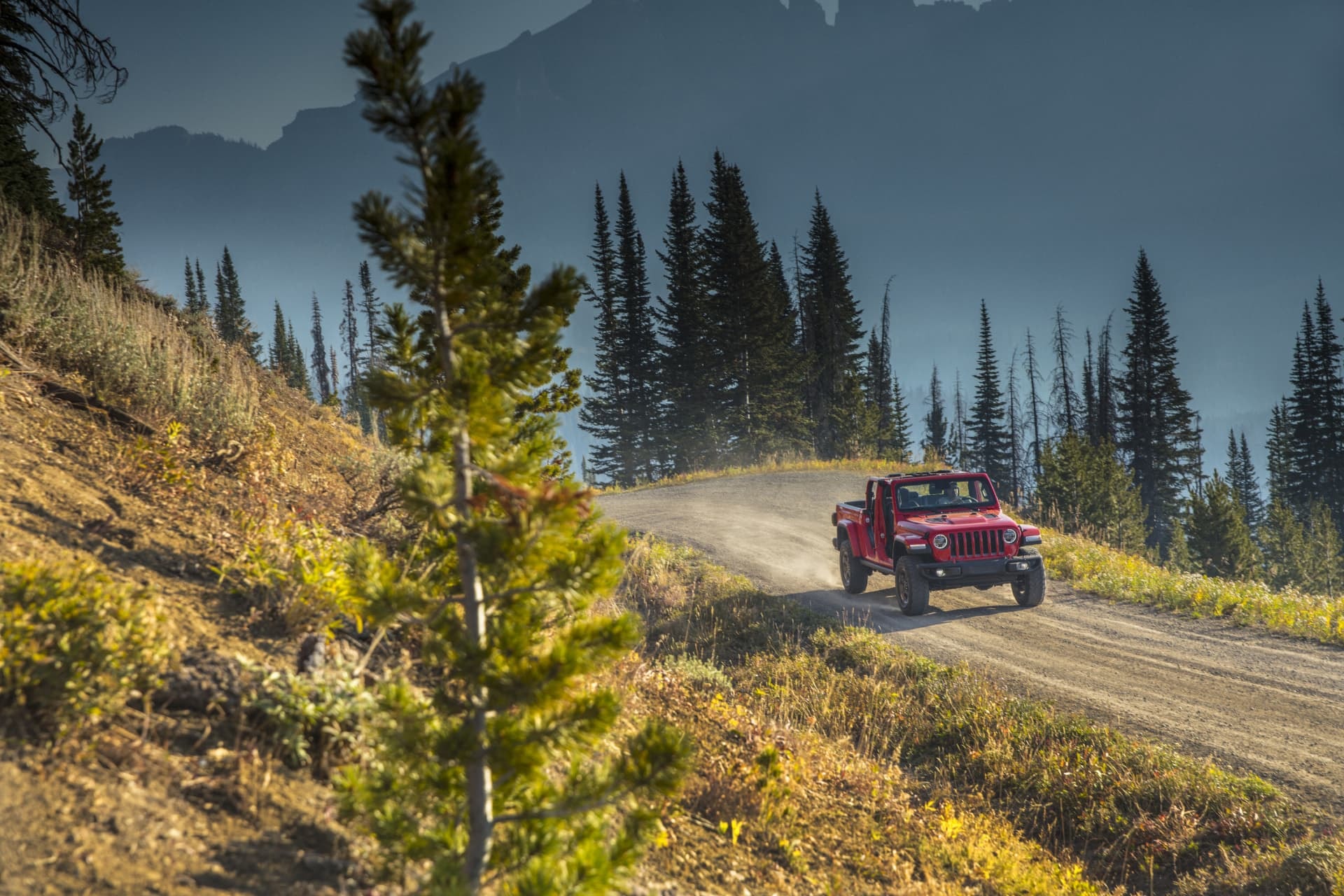 El Gladiator abriéndose camino en un sendero natural, muestra su capacidad off-road.