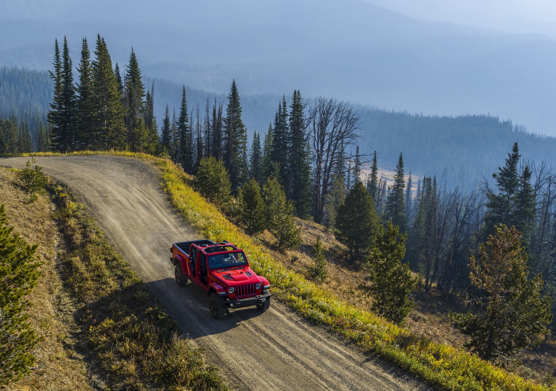 Gladiator rojo en acción, recorriendo un bosque, resaltando su color y fortaleza.