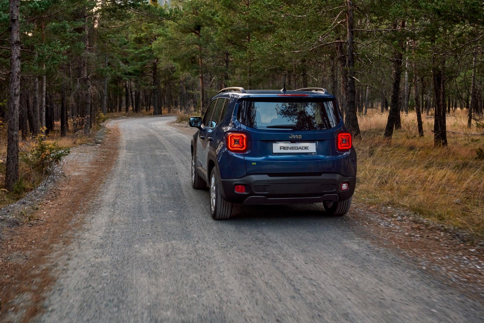 El Jeep Renegade Híbrido mostrando su trasera en un camino forestal, integrándose con la naturaleza.