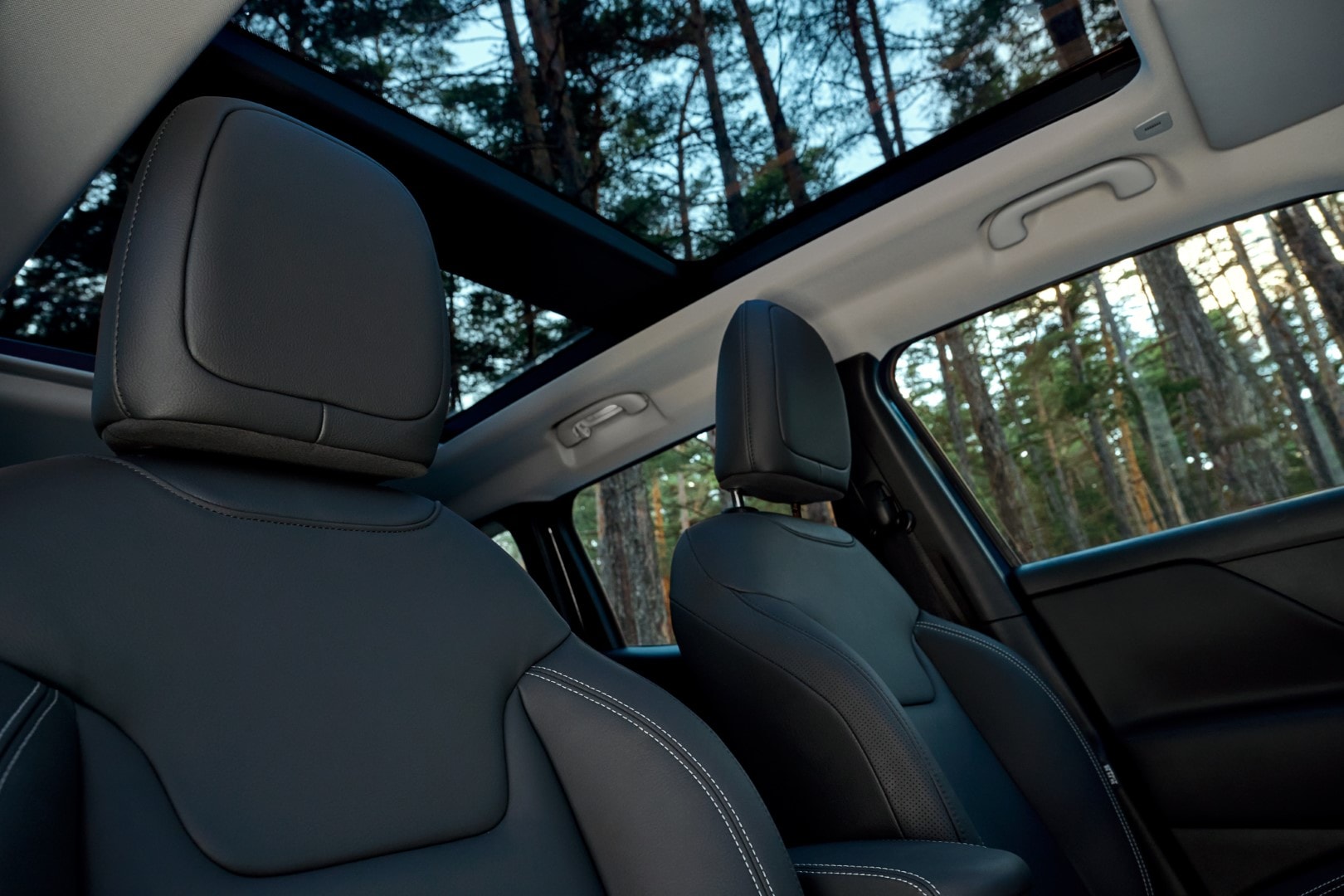 Vista del techo panorámico y asientos traseros, realzando la amplitud interior