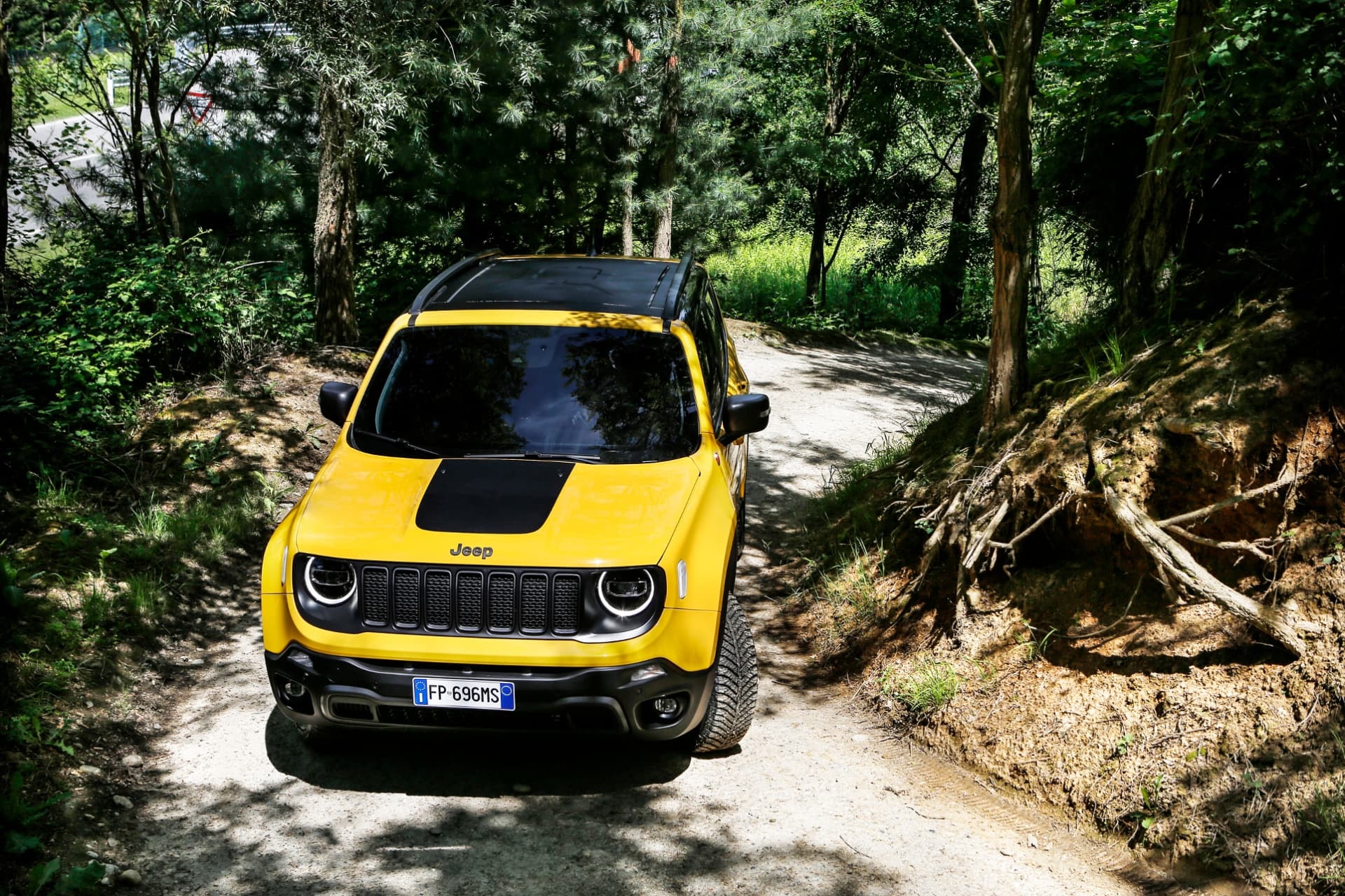 Jeep Renegade en un entorno de bosque, listo para la aventura.