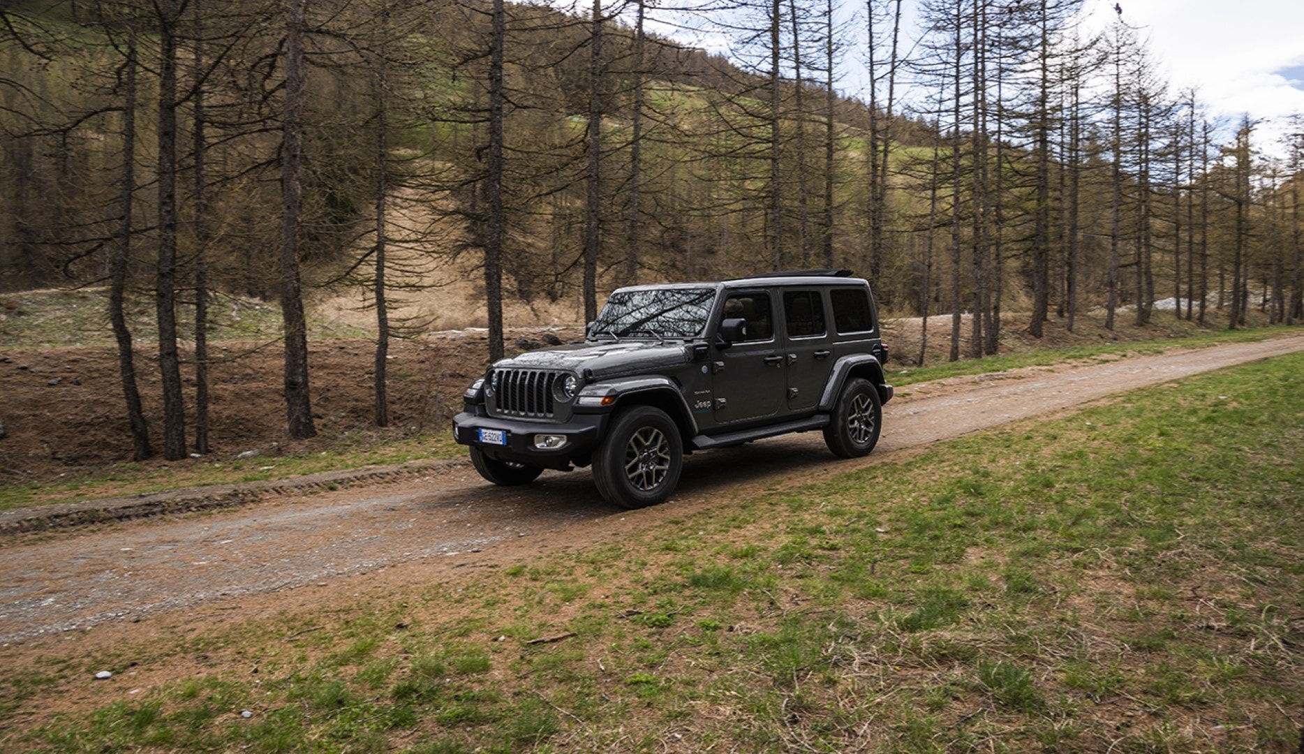 Jeep Wrangler 4xe en un camino forestal, demostrando su capacidad fuera de carretera.