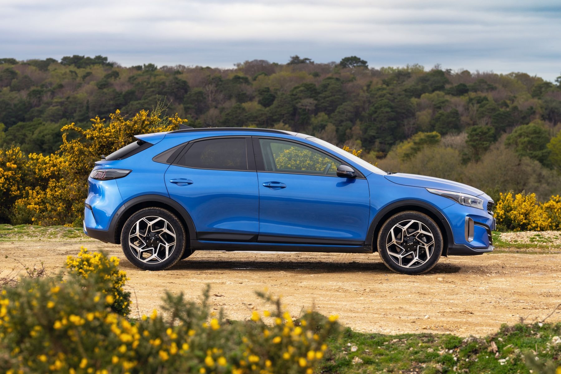 Frontal del Kia Xceed, resaltando su parrilla y faros agresivos.