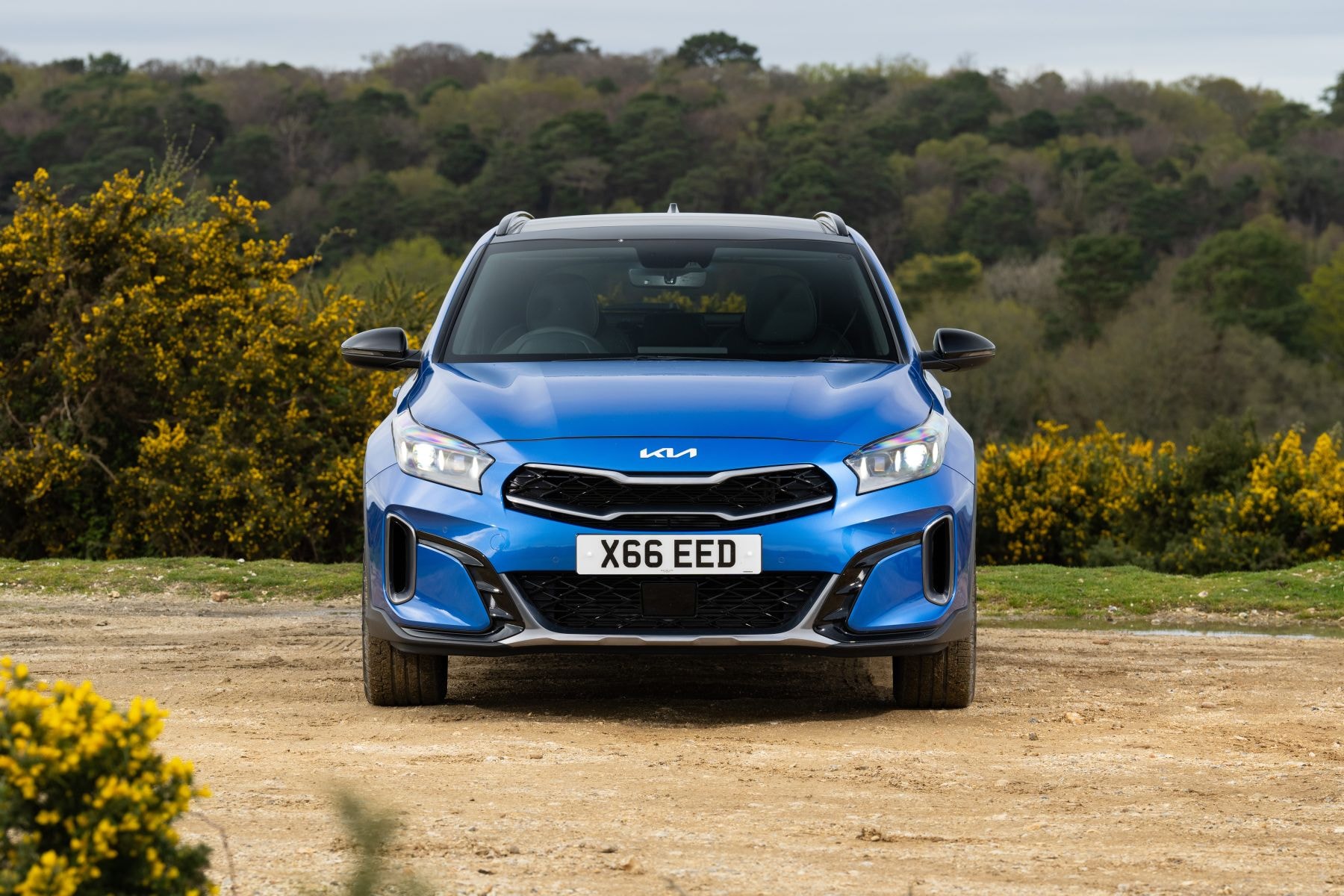 Vista trasera del Kia Xceed, destacando sus luces y líneas elegantes.