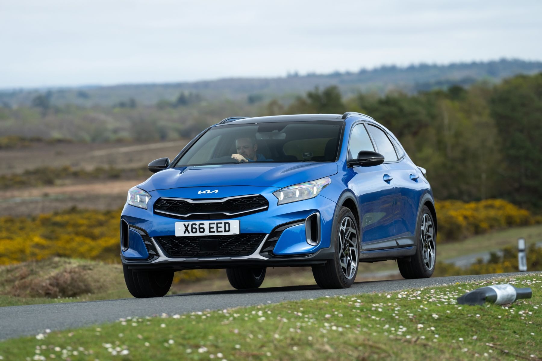 Puerta lateral en vibrante color verde, destacando diseño moderno.