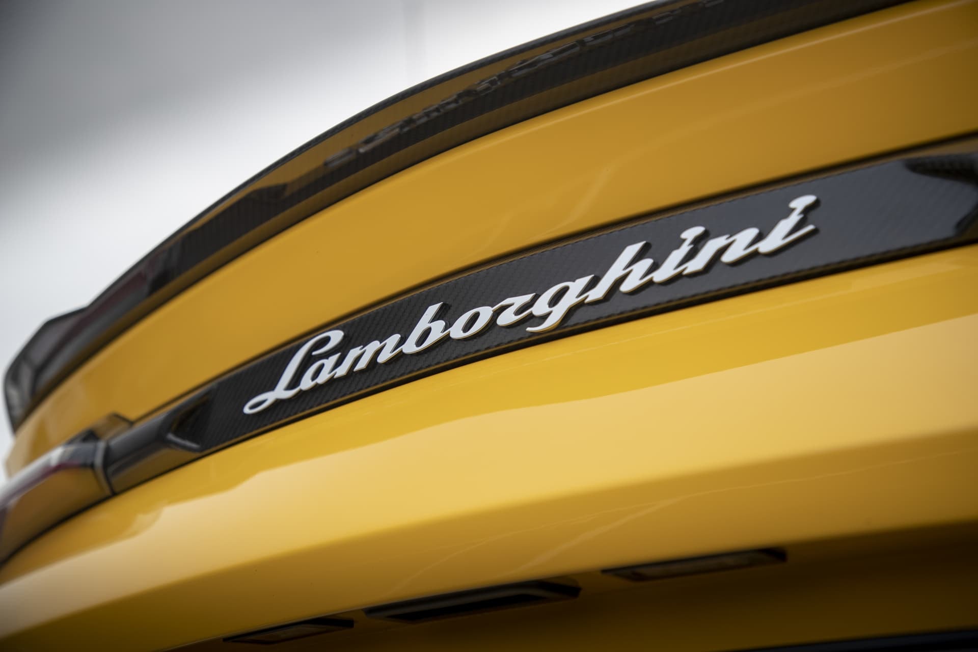 Primer plano del emblema Lamborghini, un símbolo de prestigio y potencia
