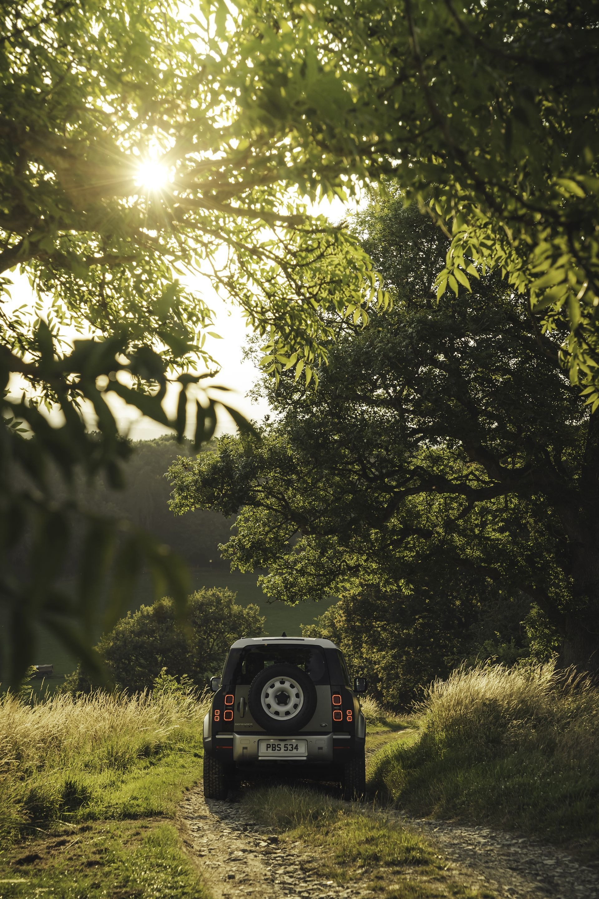 La trasera del Defender capturada en una escena natural con luz solar filtrada