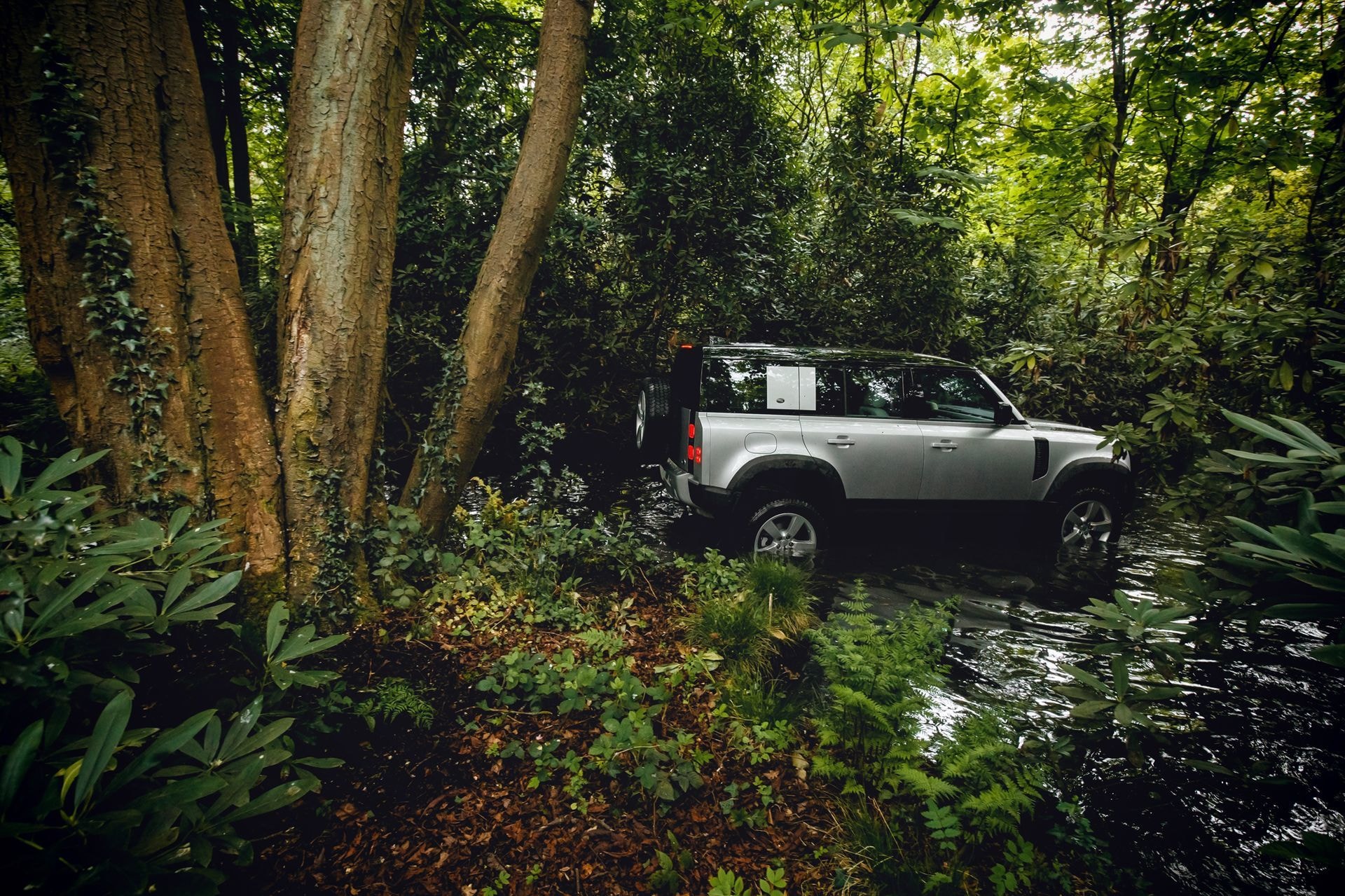 Defender reflejado en el agua, en contexto selvático.