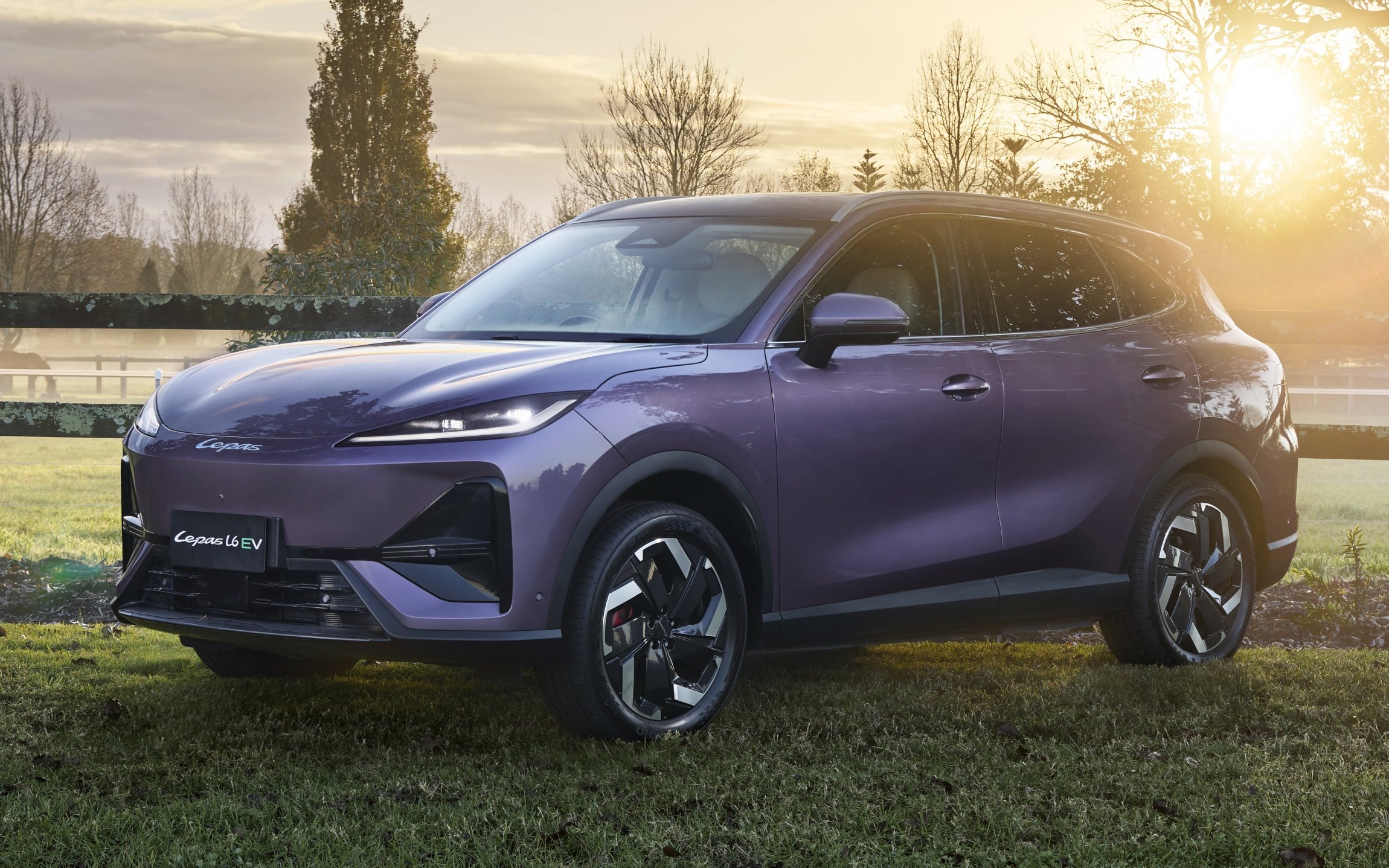 Lepas L6 eléctrico