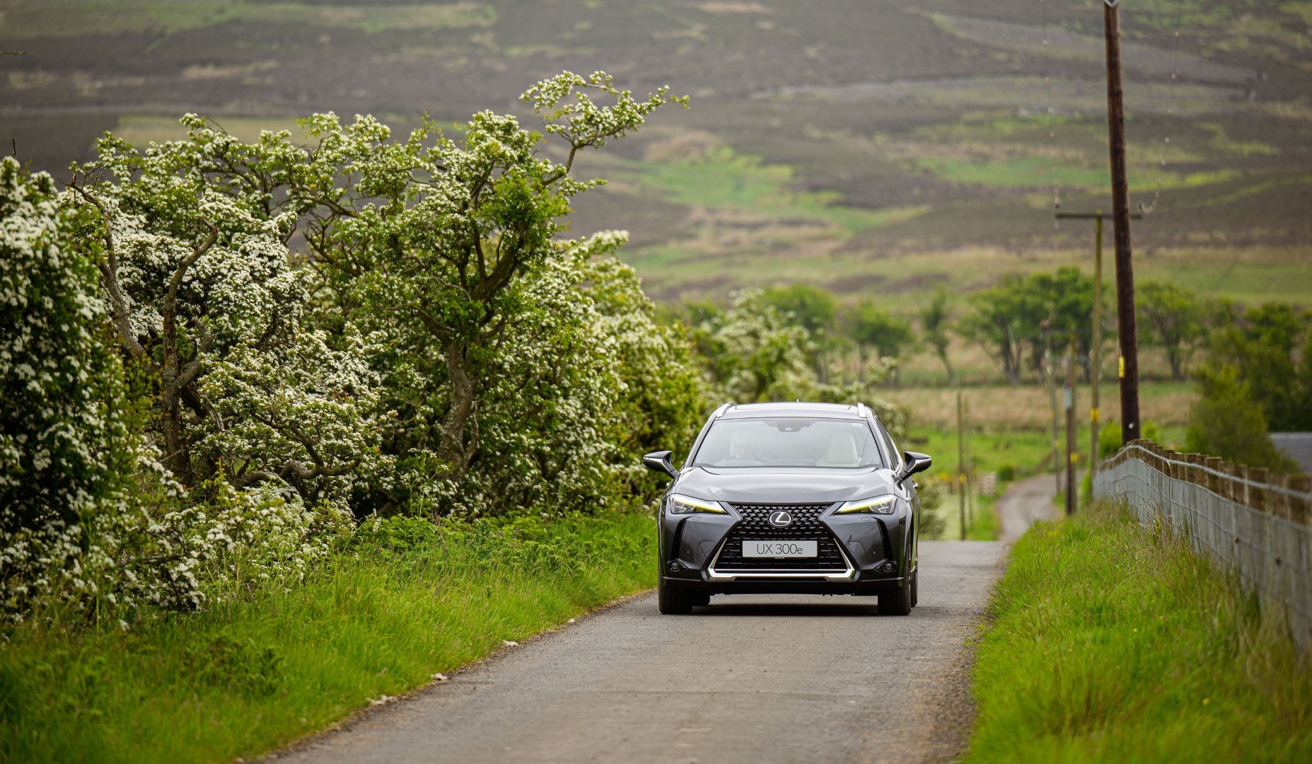 Vista frontal del Lexus UX300e en un entorno rural, resaltando su frontal agresivo.