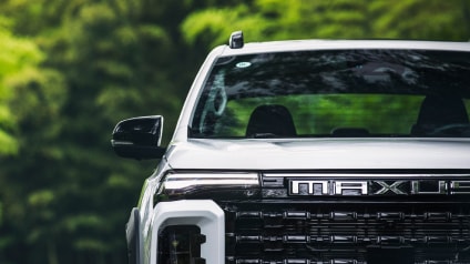 Imagen panorámica que resalta su diseño en la naturaleza