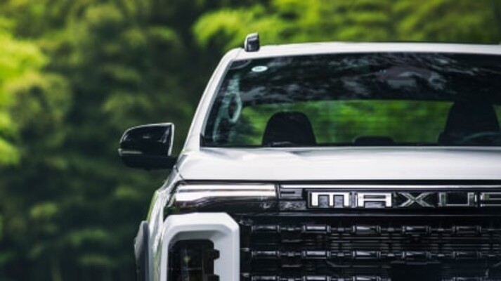 Imagen panorámica que resalta su diseño en la naturaleza Imagen panorámica que resalta su diseño en la naturaleza