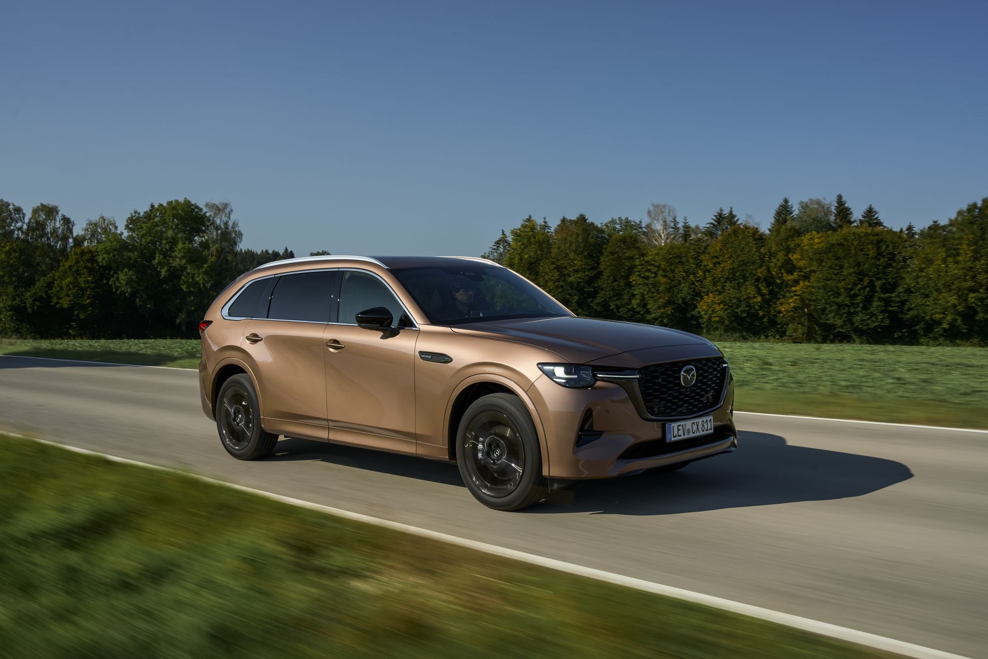 Techo con baúl portaequipajes, ideal para escapadas.