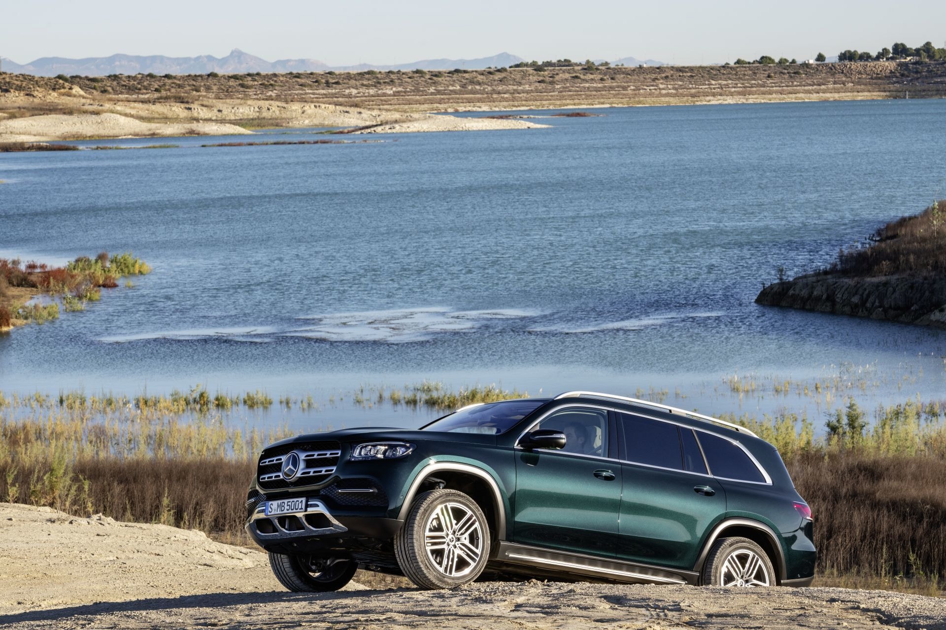 GLS visto de lado en un ambiente natural, destacando su altura y porte.