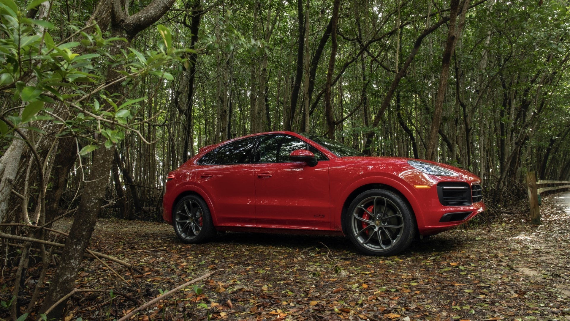 Cayenne Coupé se integra con la naturaleza, realzando su diseño.